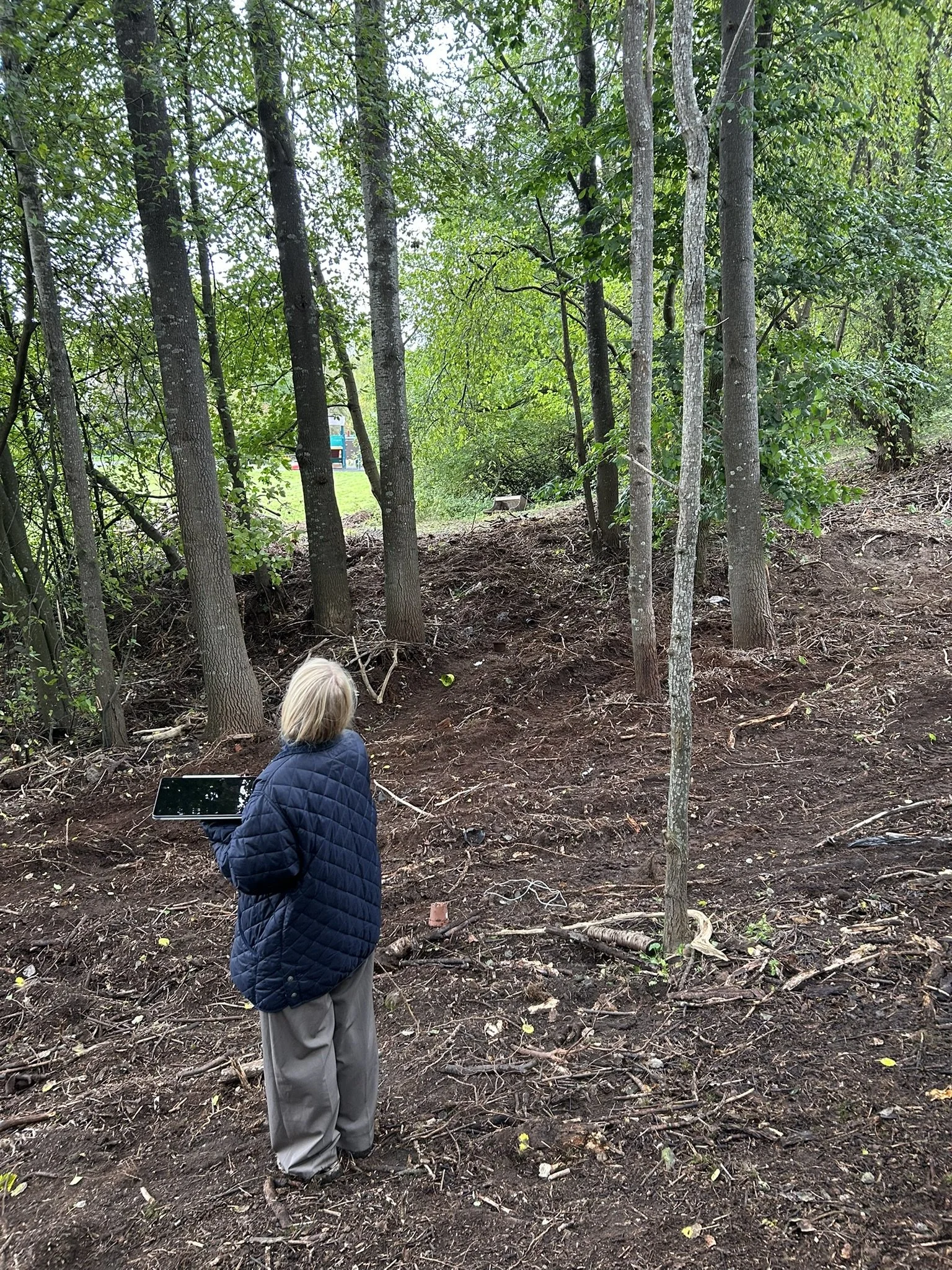 Trollparken / ateljé trakt