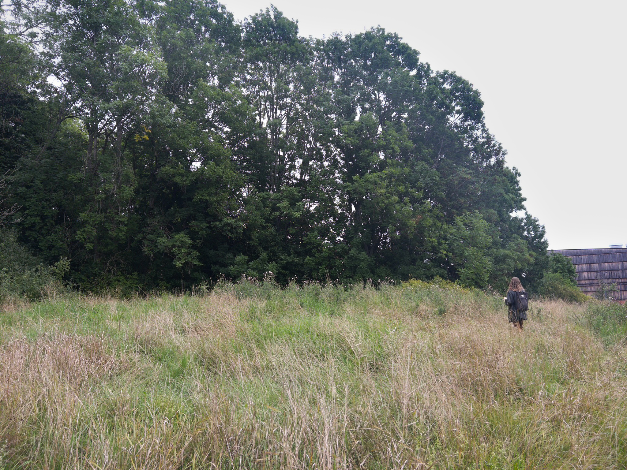 Knivsta stadspark / ateljé trakt