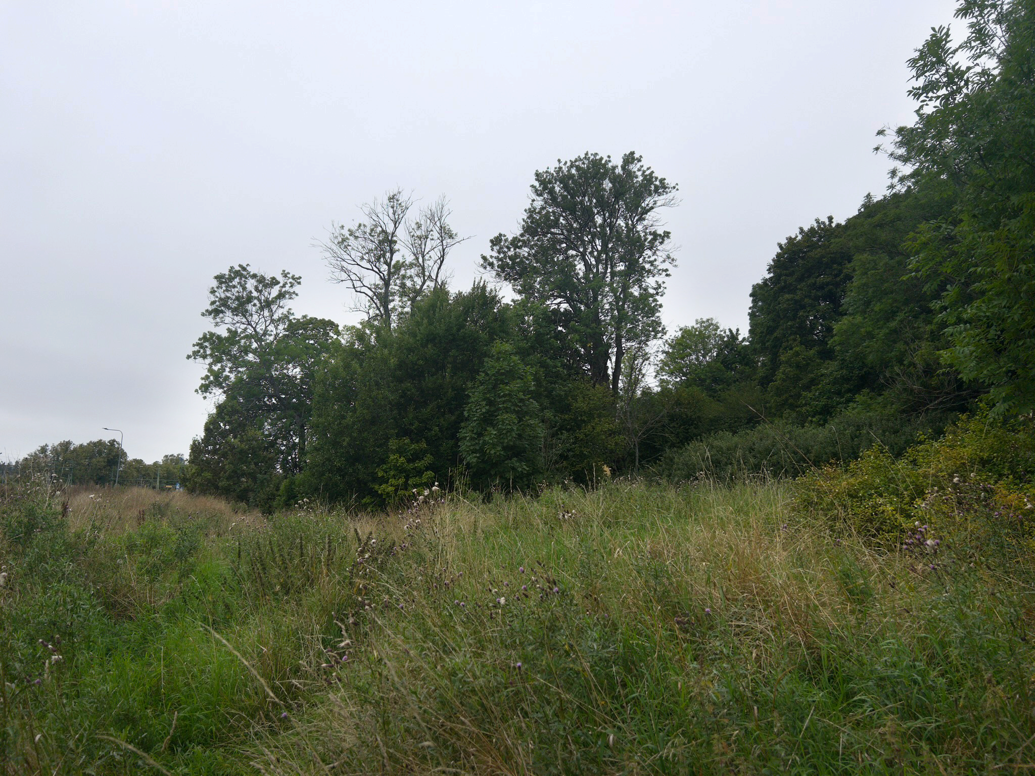 Knivsta stadspark / ateljé trakt