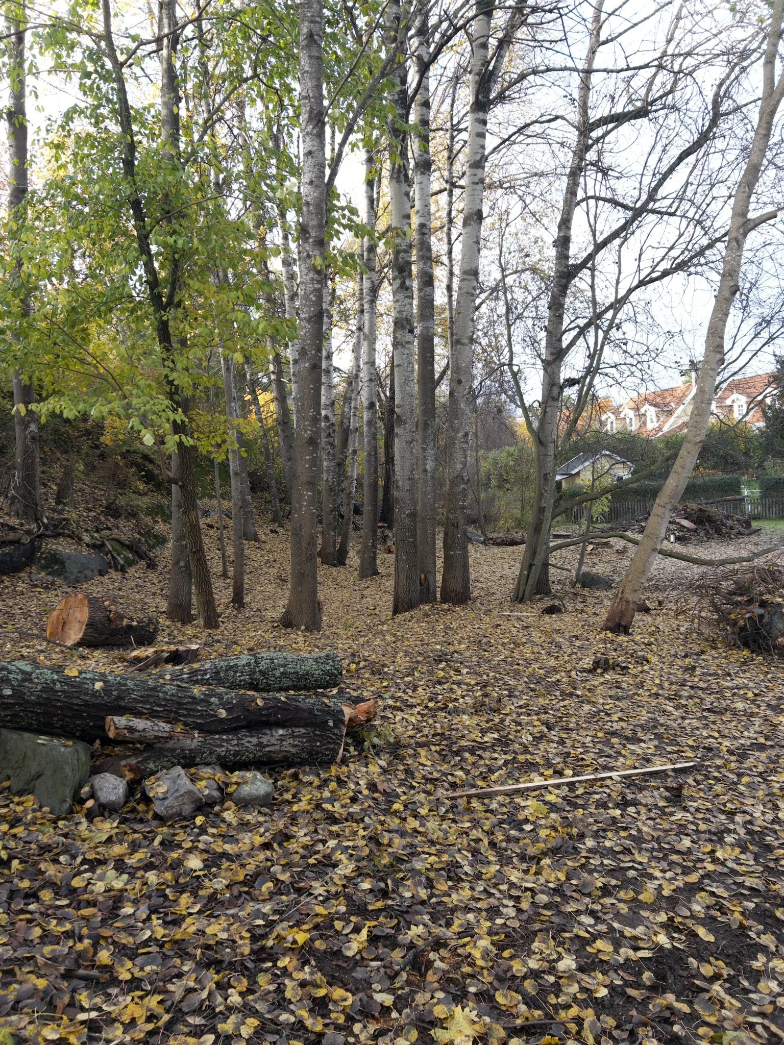 Trollparken / ateljé trakt