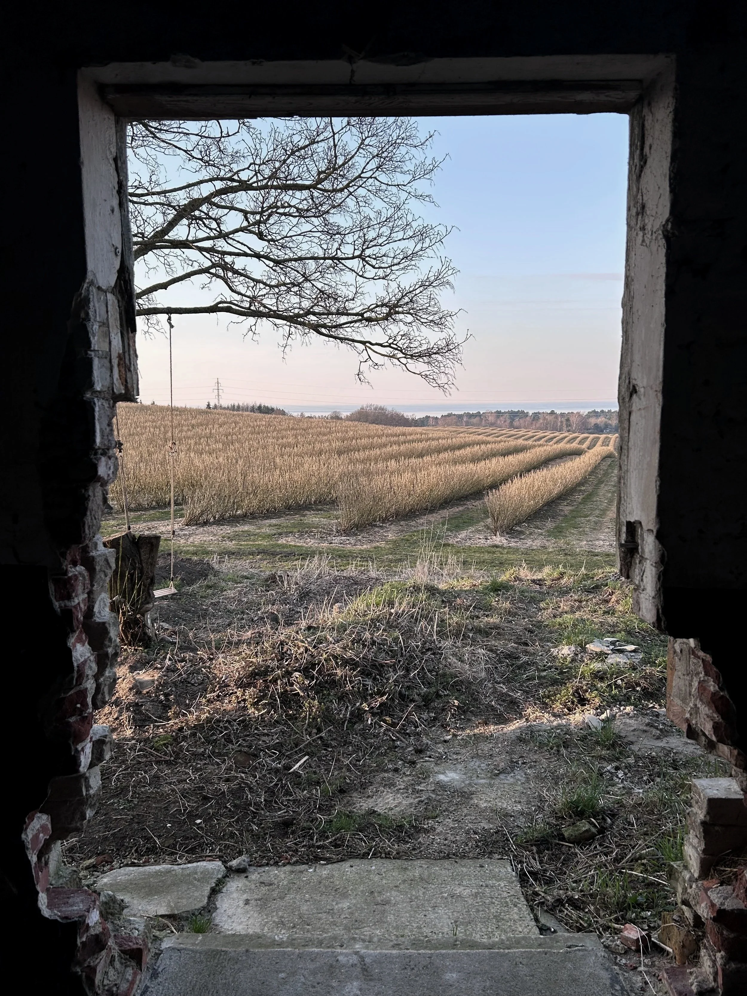 Haavegarden / ateljé trakt