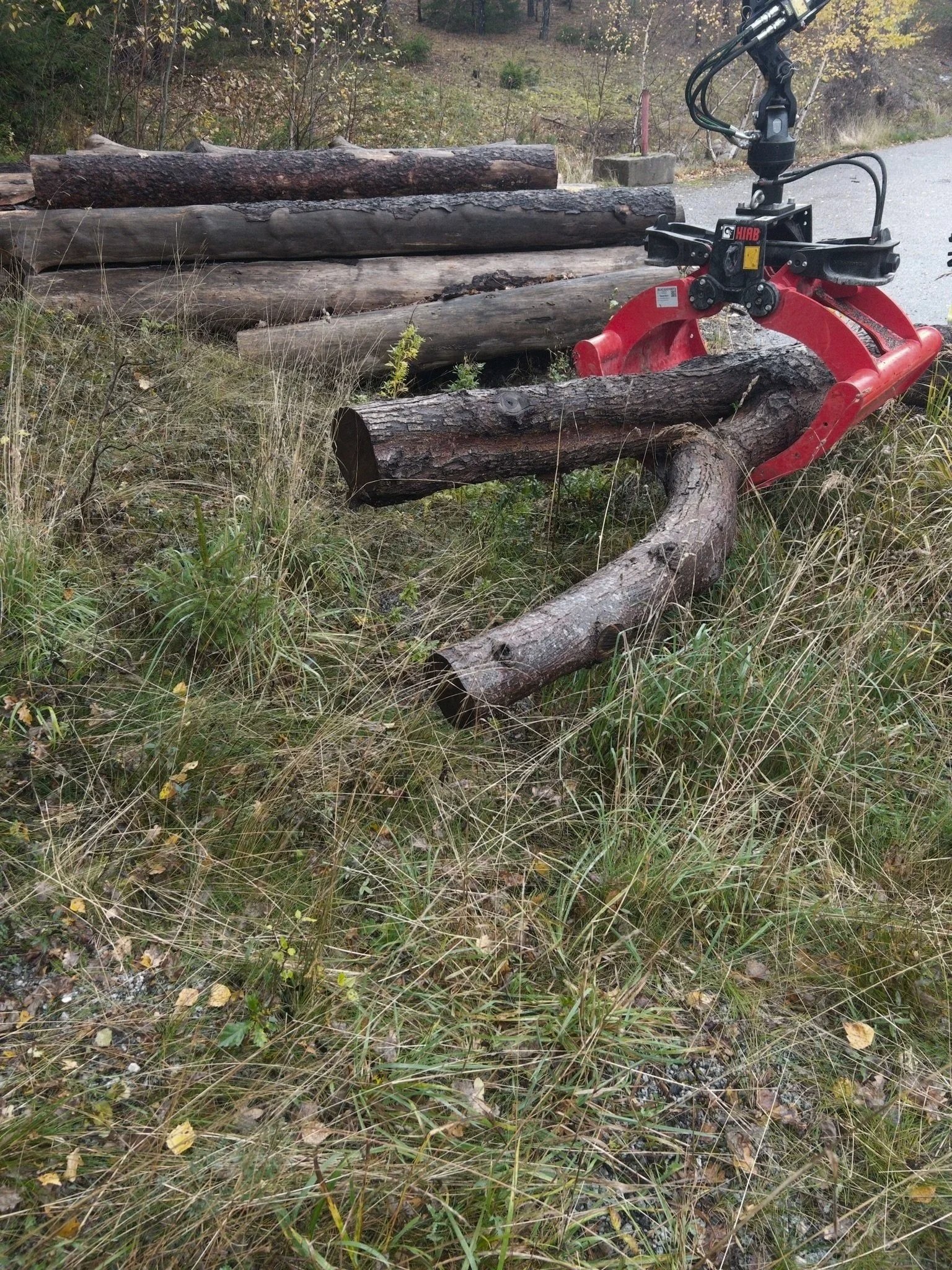 Trollparken / ateljé trakt