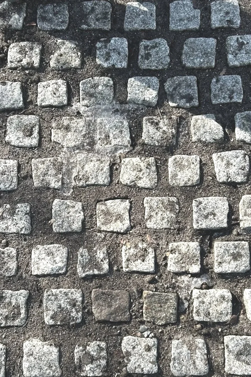 Trollparken / ateljé trakt