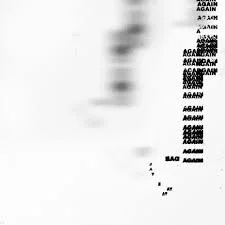 Jay Zayat - Bag Again
Mix & Mastered by Caleb Lindner