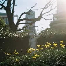 Slo To Go - Crush
Produced by BANTA.