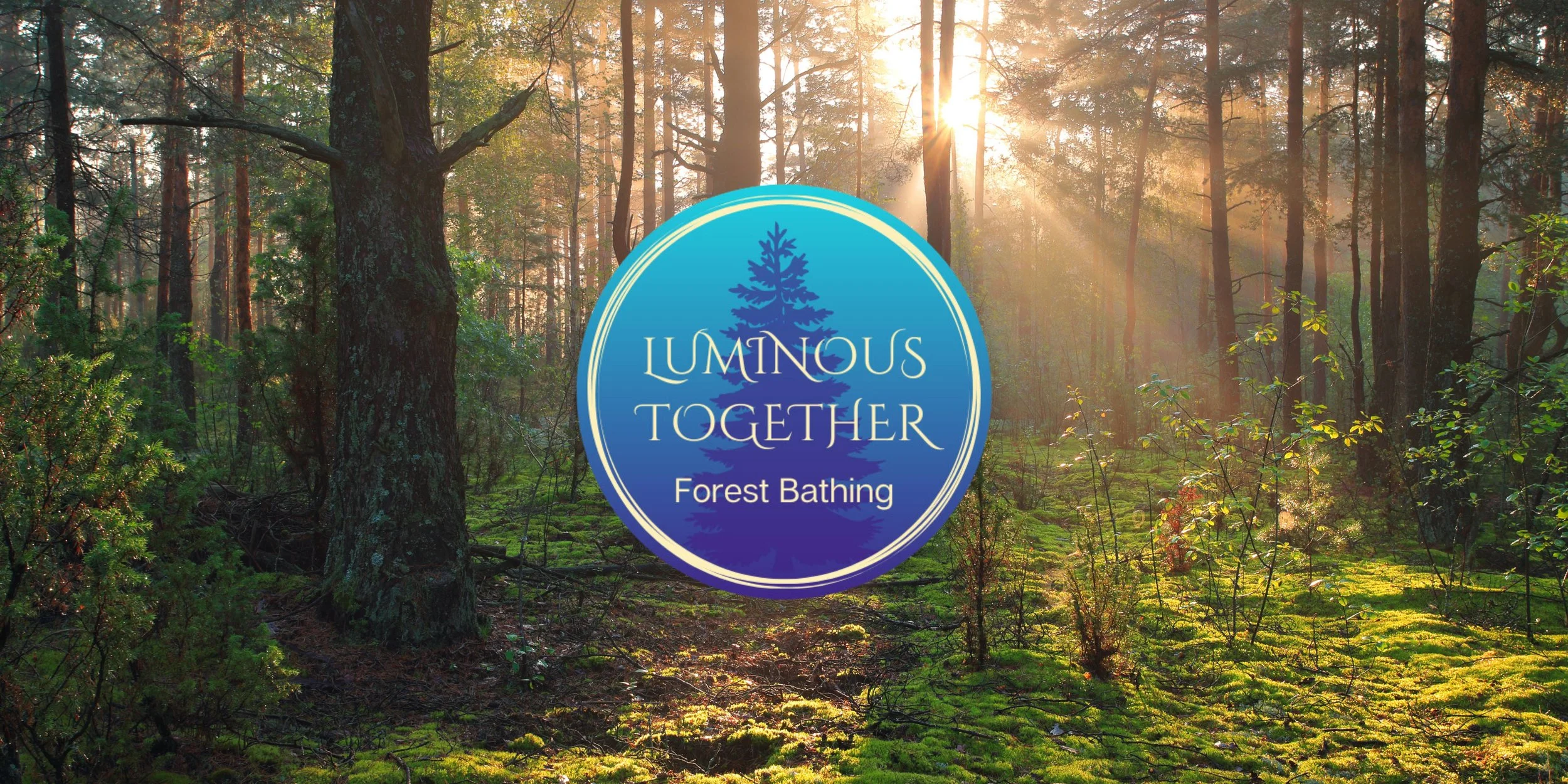Legendary Makers Market Forest Bathing Walk #2