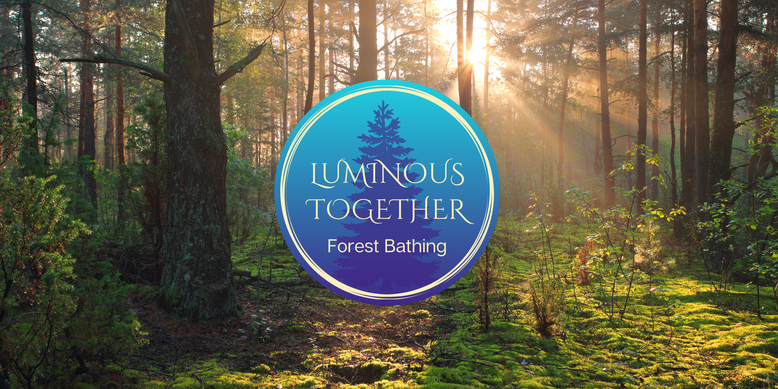 Smith & Bybee Wetlands Forest Bathing Walk