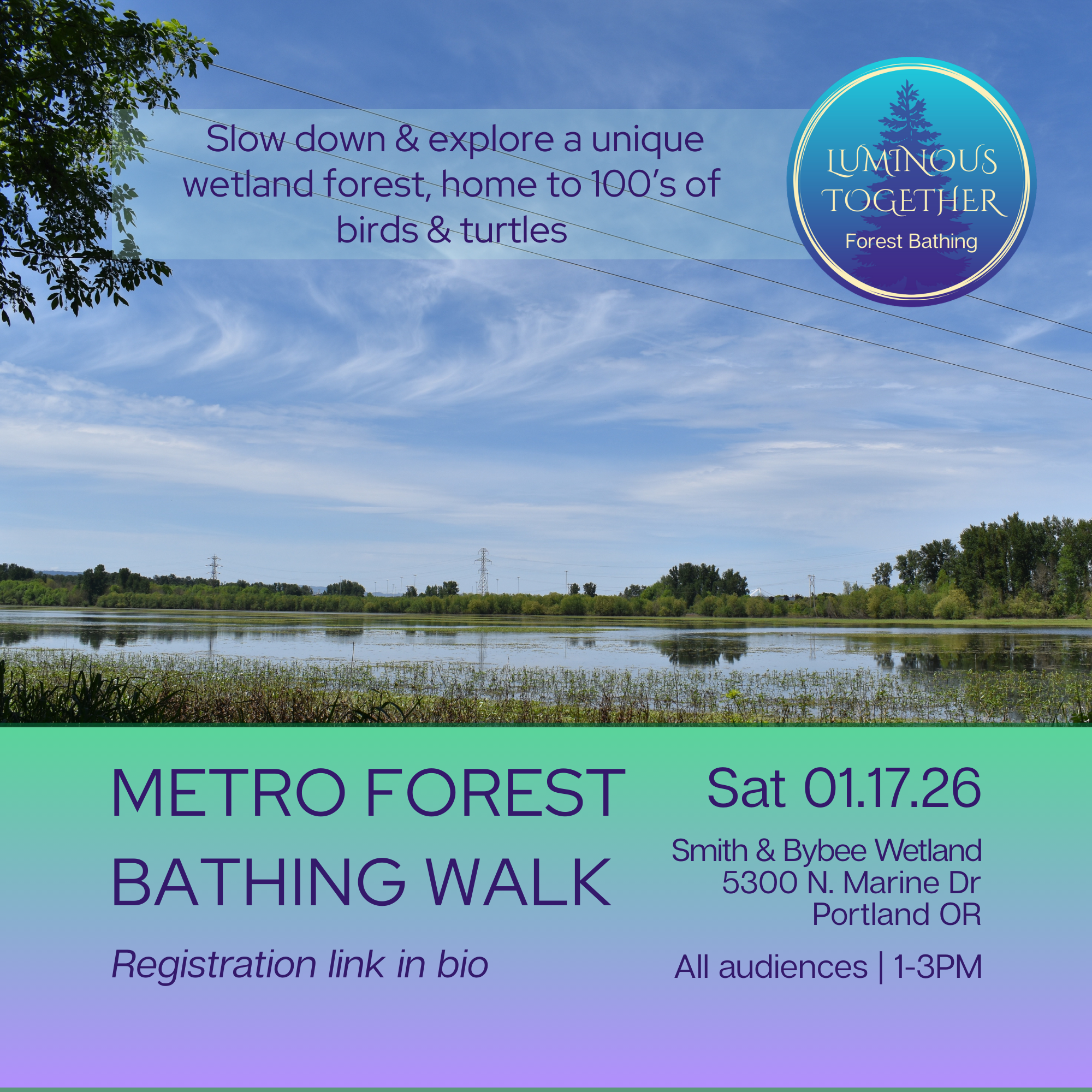 METRO Forest Bathing Walk | Smith and Bybee Wetlands