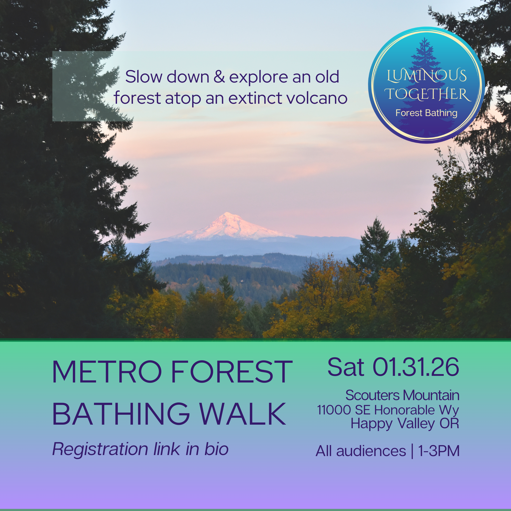 METRO Forest Bathing Walk | Scouters Mountain