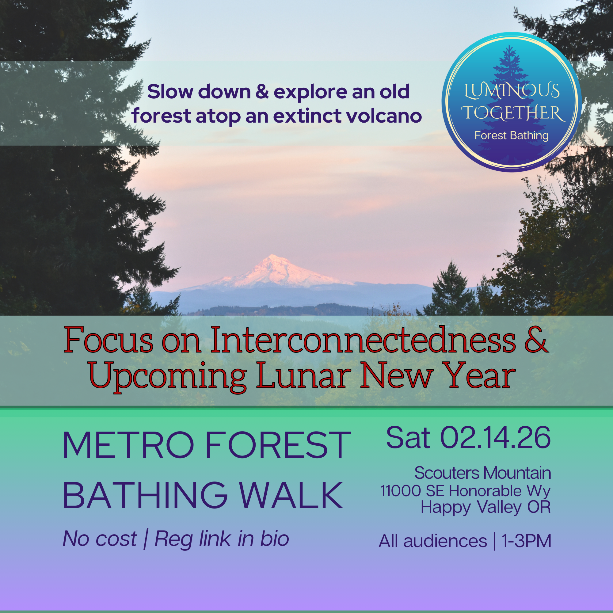 Scouters Mountain Nature Park Forest Bathing Walk