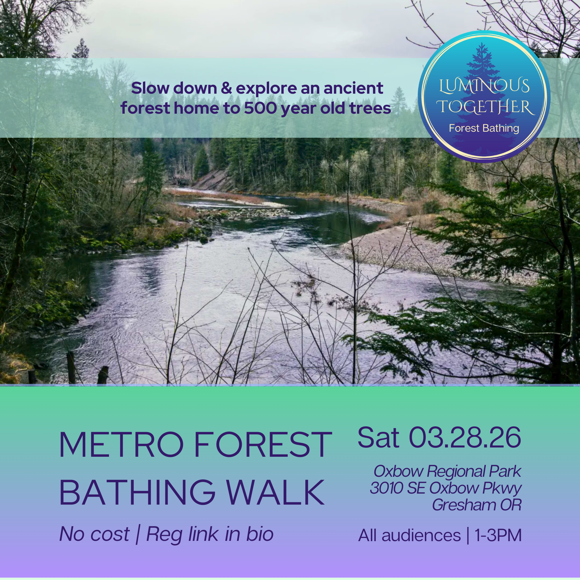 Oxbow Regional Park Forest Bathing Walk