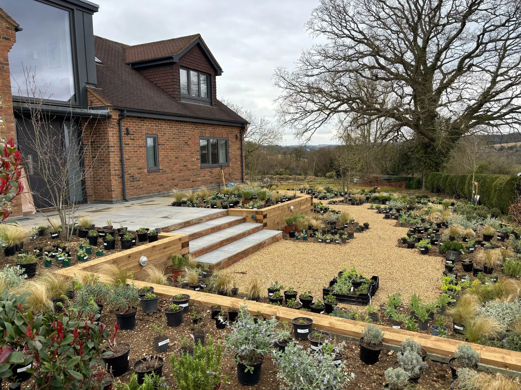 gravel-garden-planting-layout