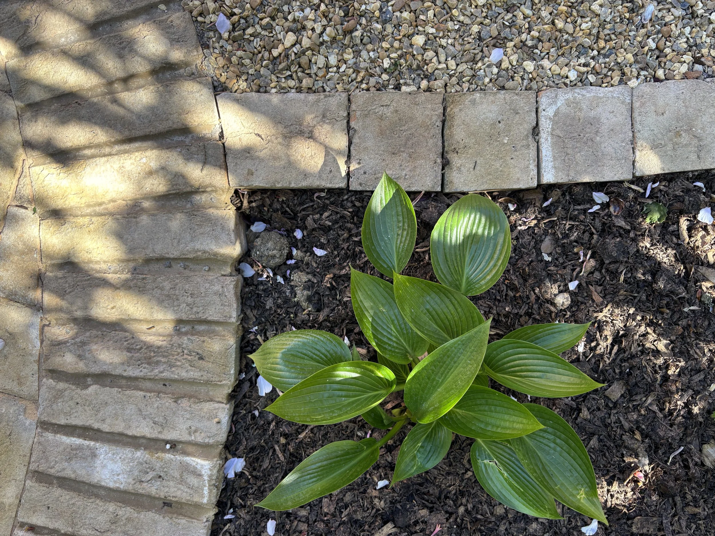 block-paving-detail