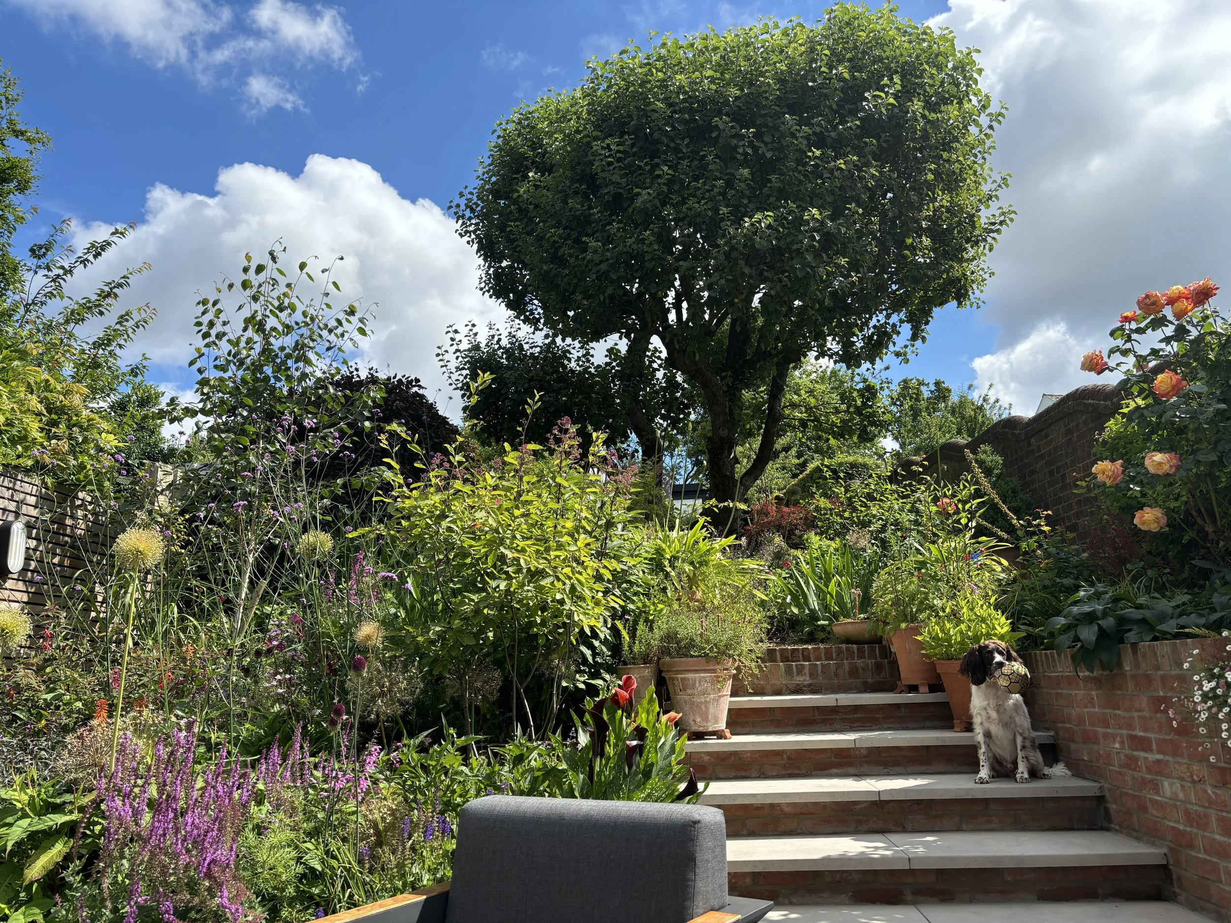 Contemporary-cottage-garden-naturalistic.jpg