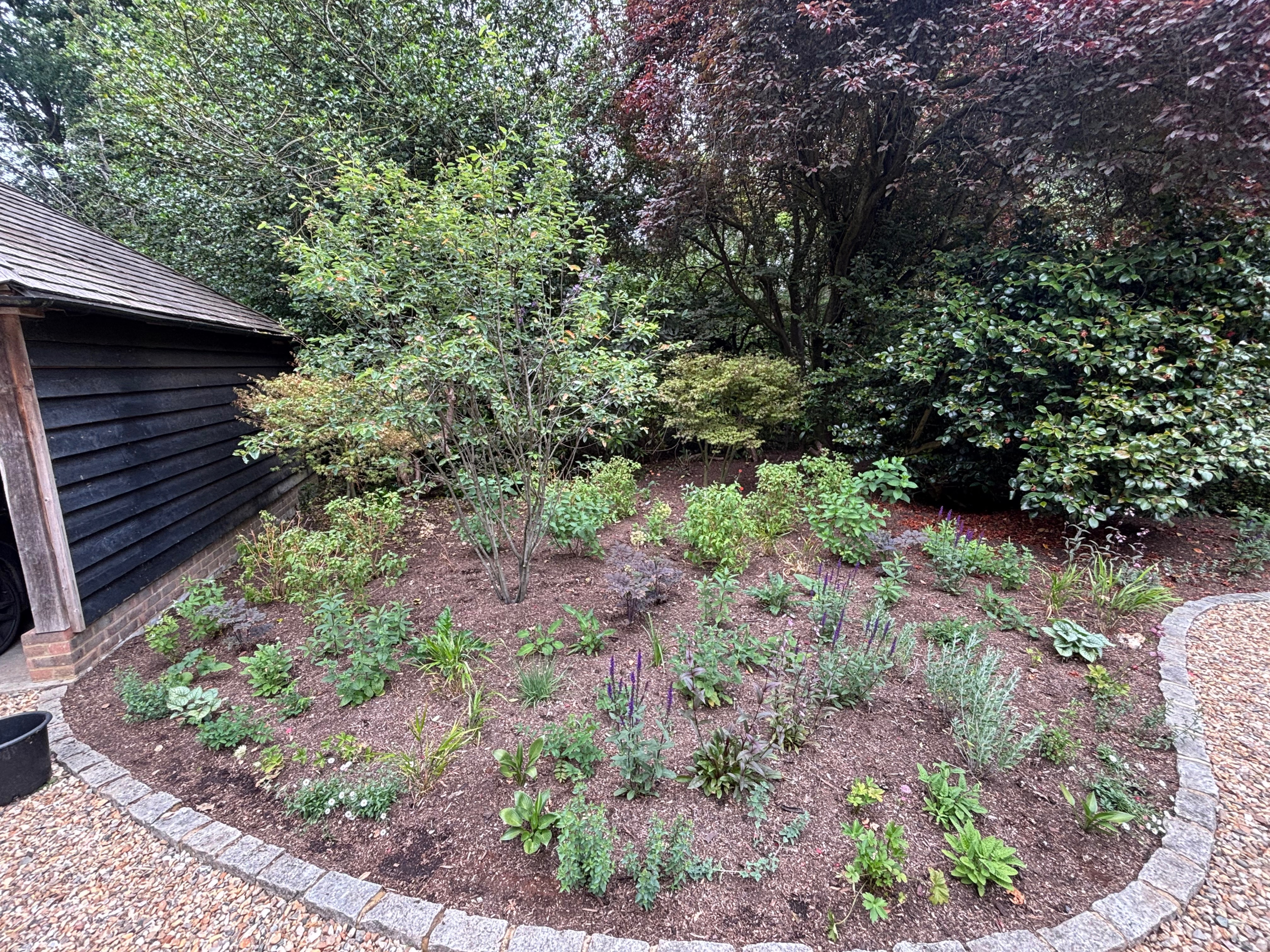 Shady planting design 