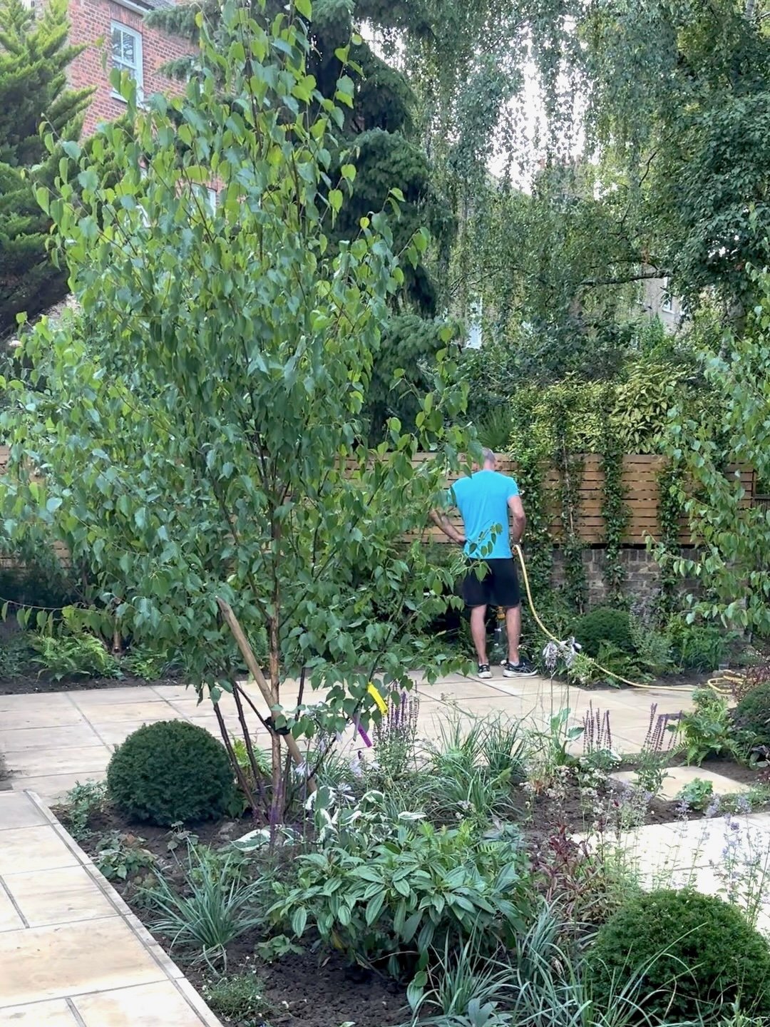 Garden5 (2).jpeg