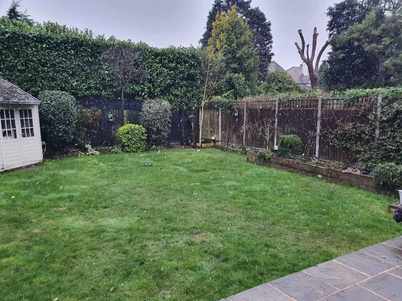 Essex-garden-before