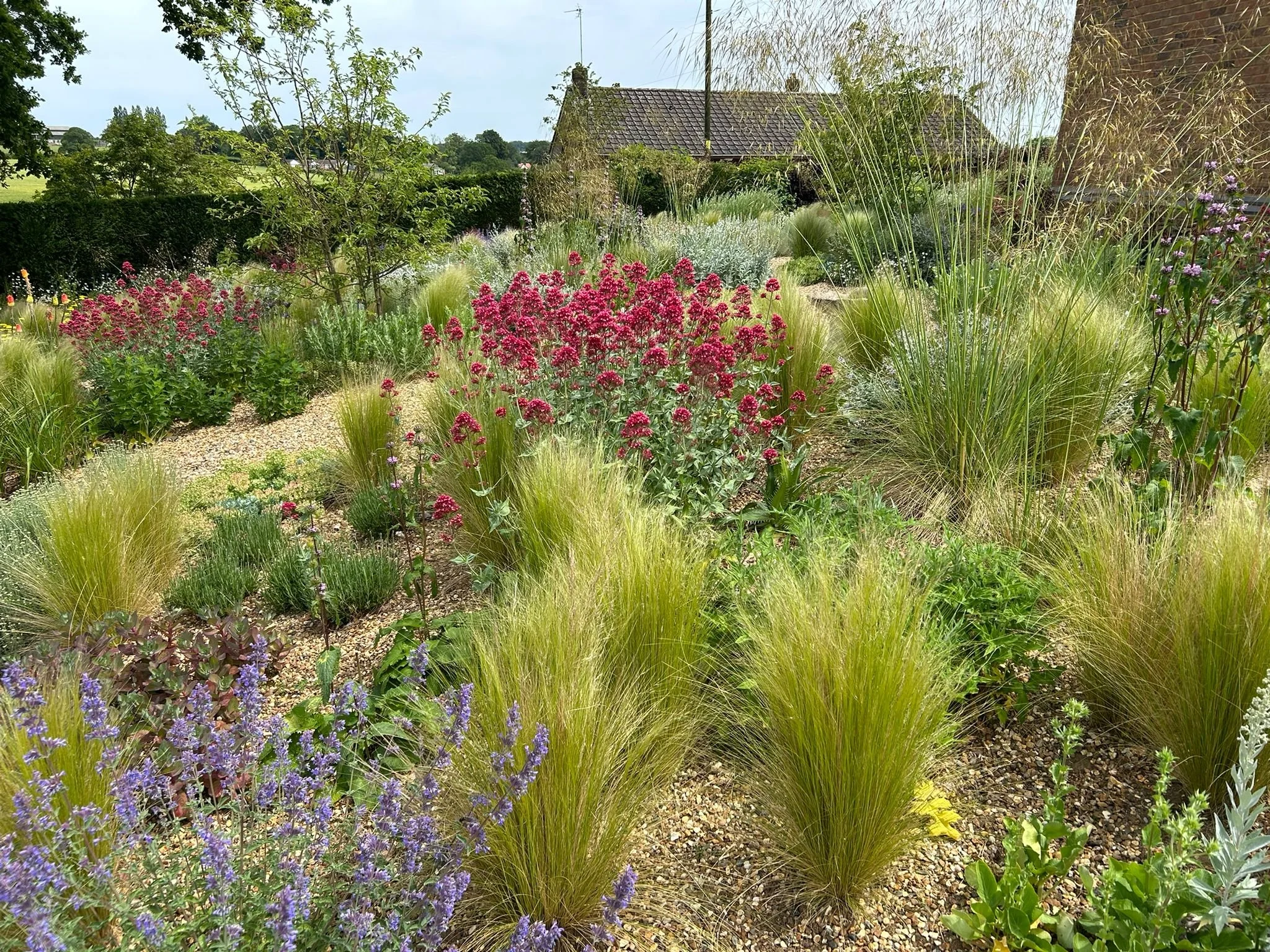 Flowing perennial & grass gravel garden 