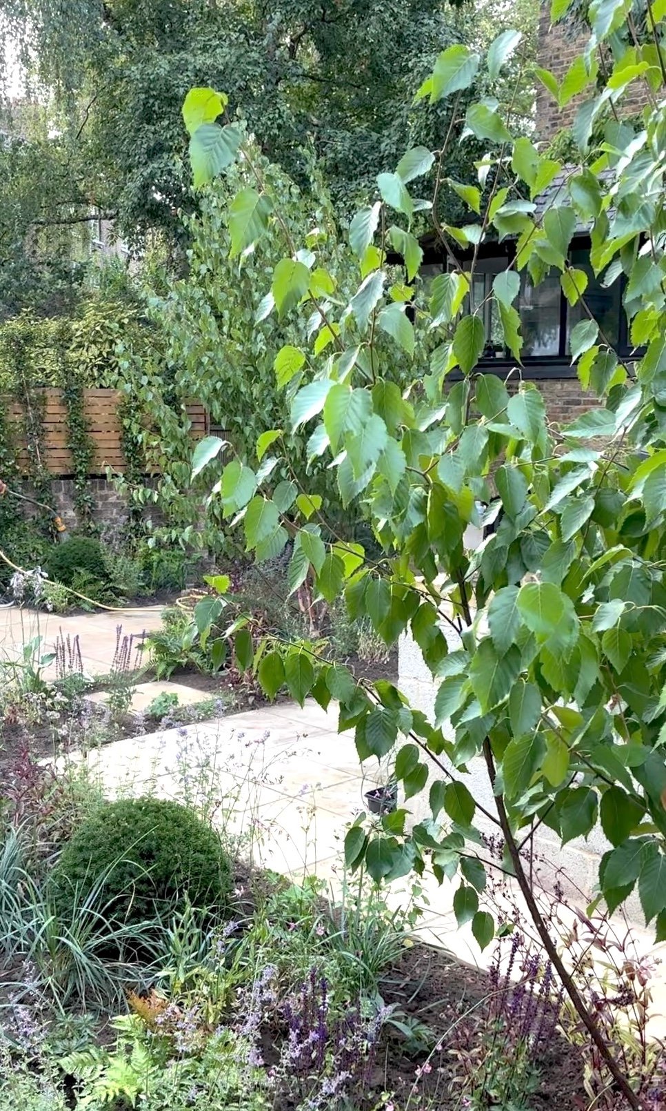 Garden 4.jpeg