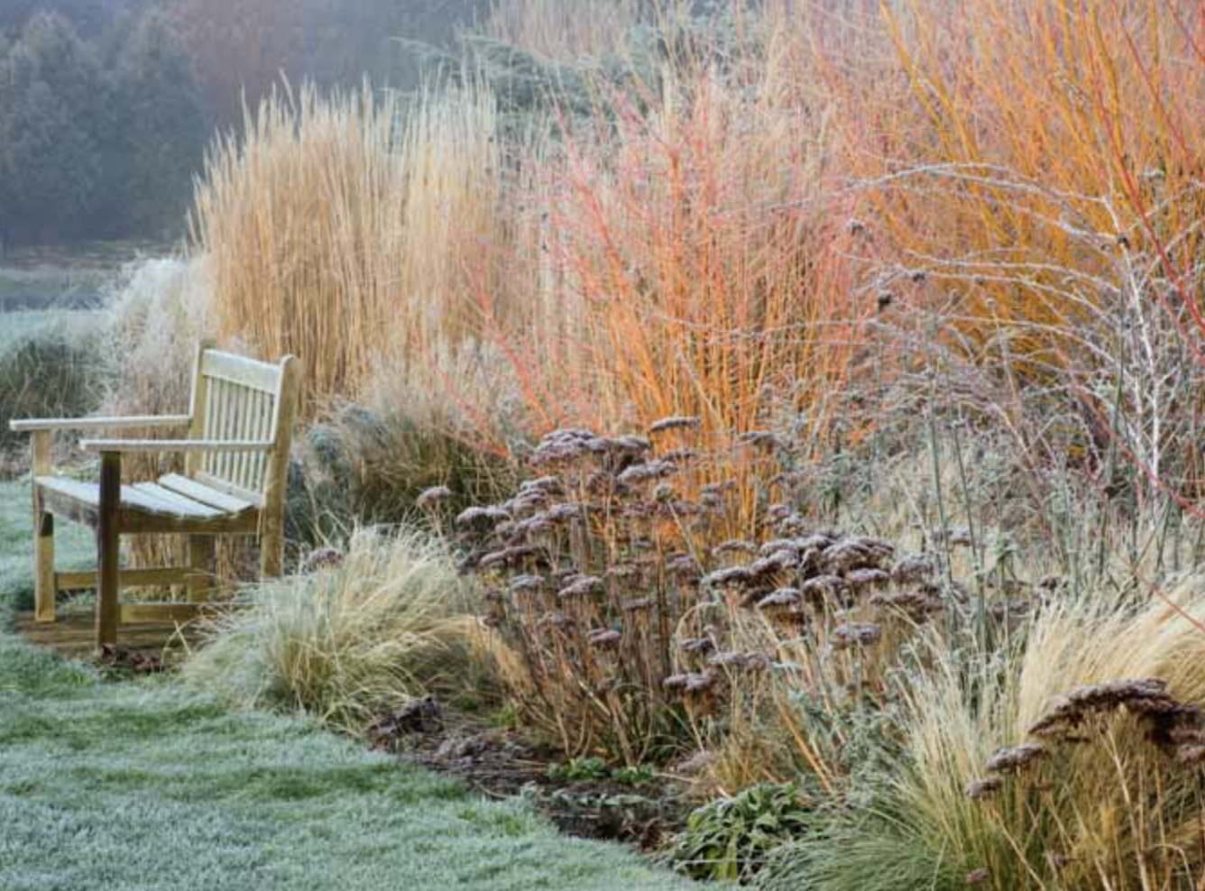 winter-garden-from-the-house
