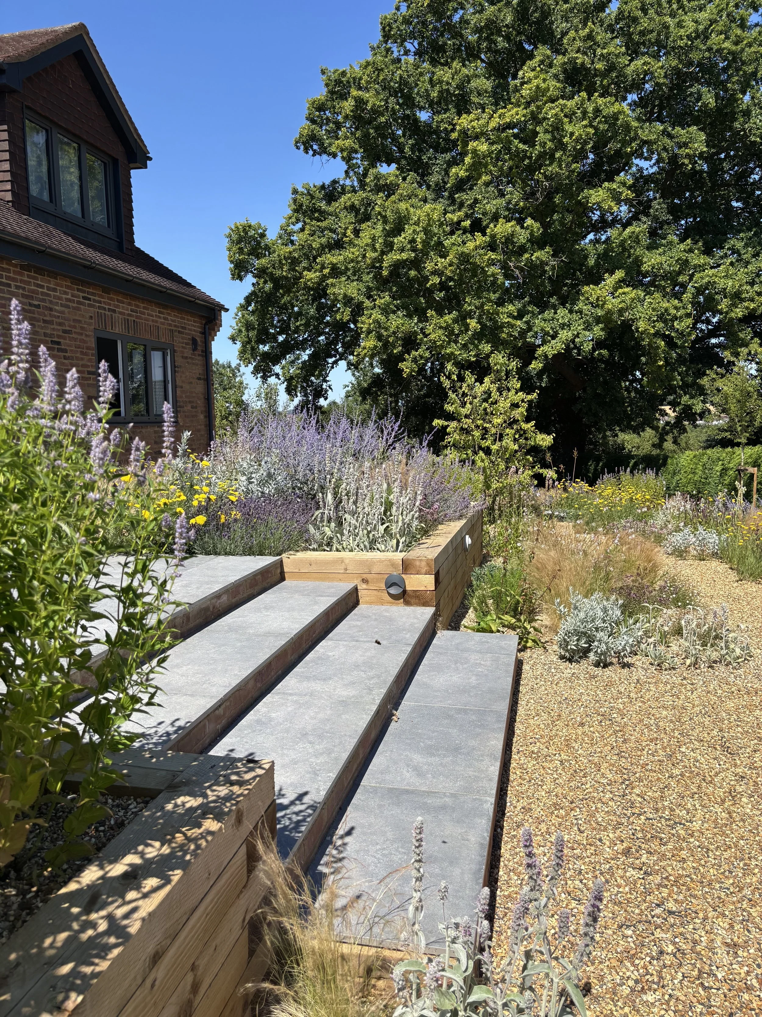 Resilient Gravel Garden, Hertfordshire, March 2025
