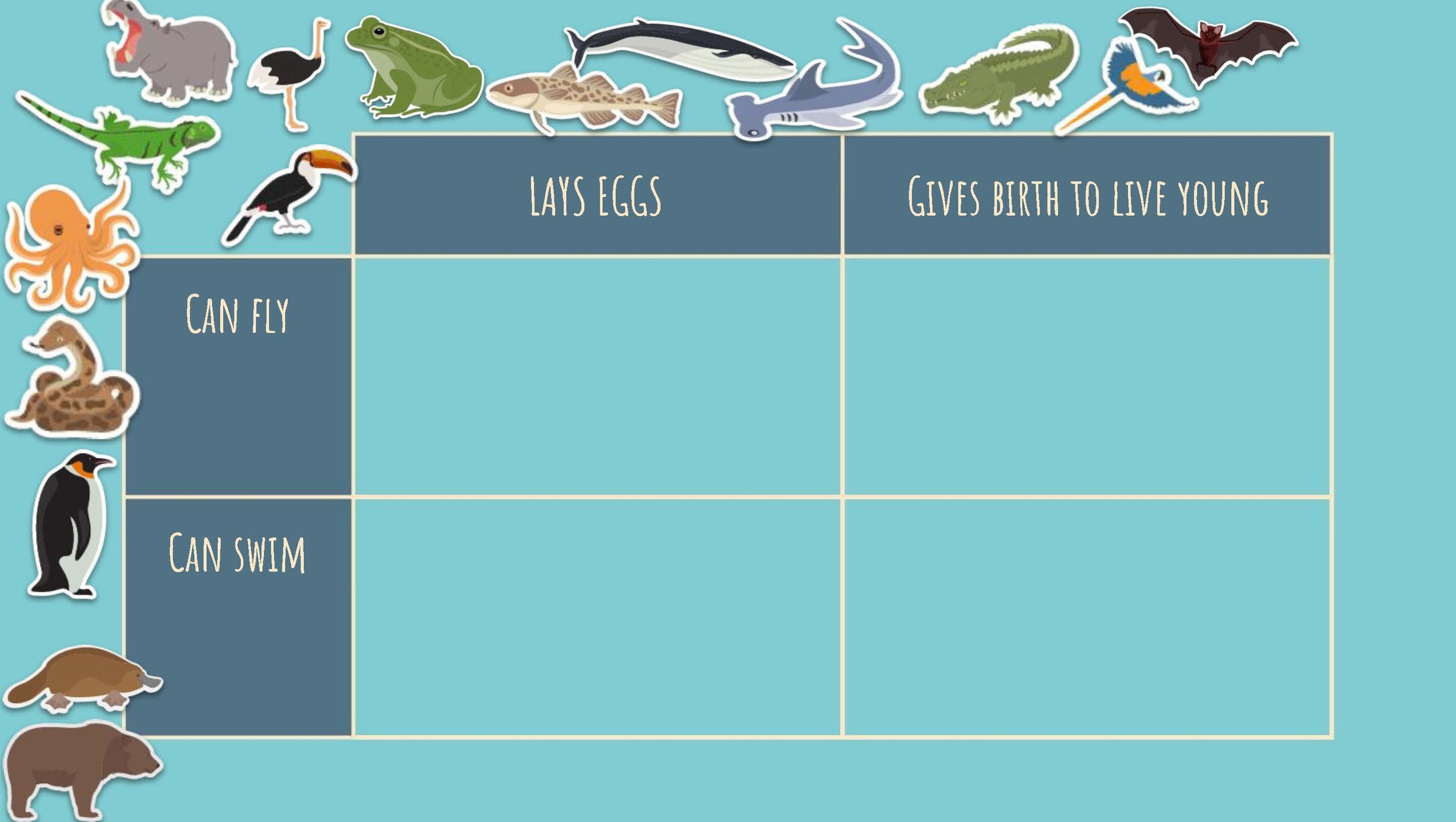 Updated It's a zoo! copy_Page_40.jpg