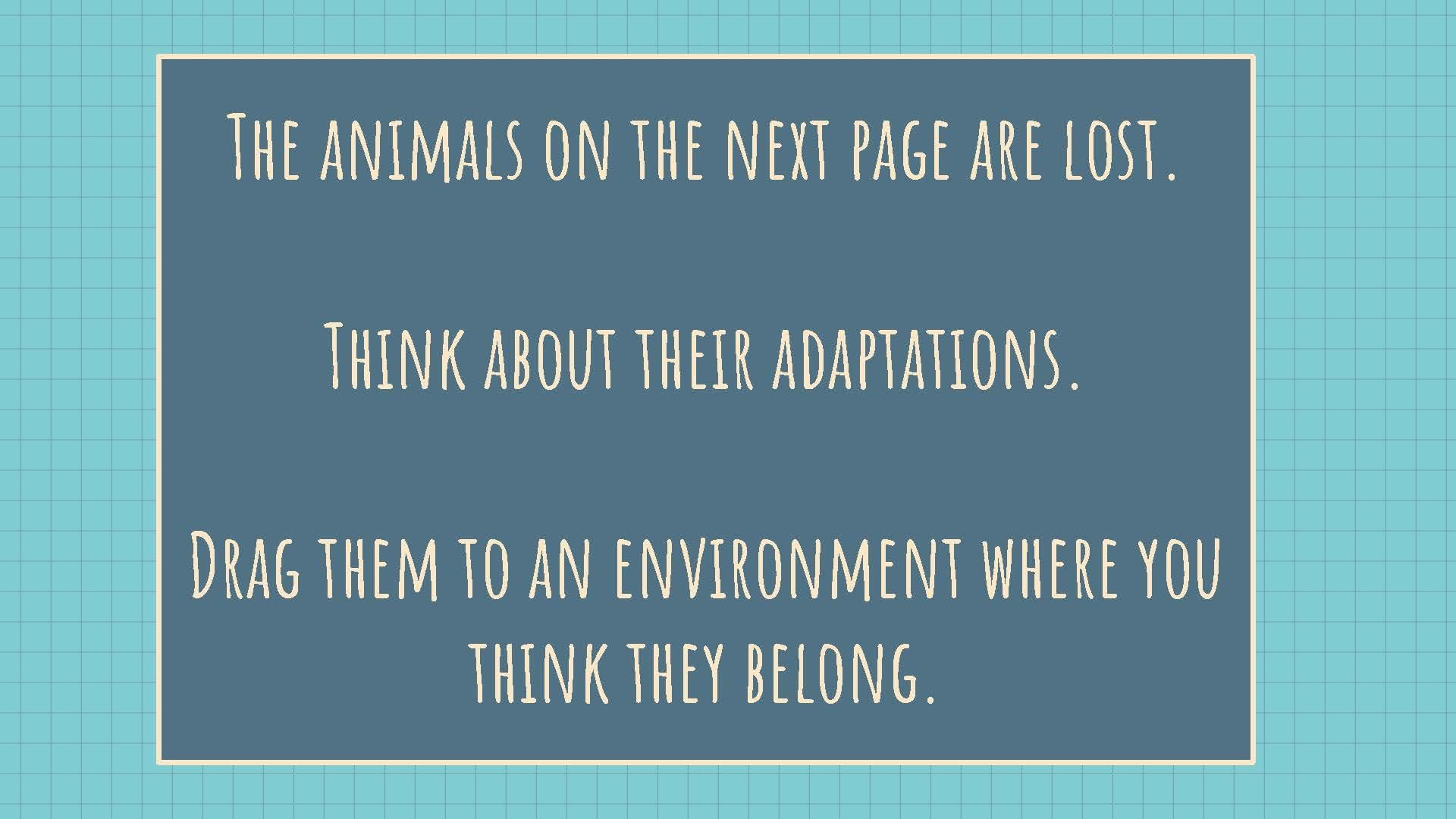 Updated It's a zoo! copy_Page_15.jpg