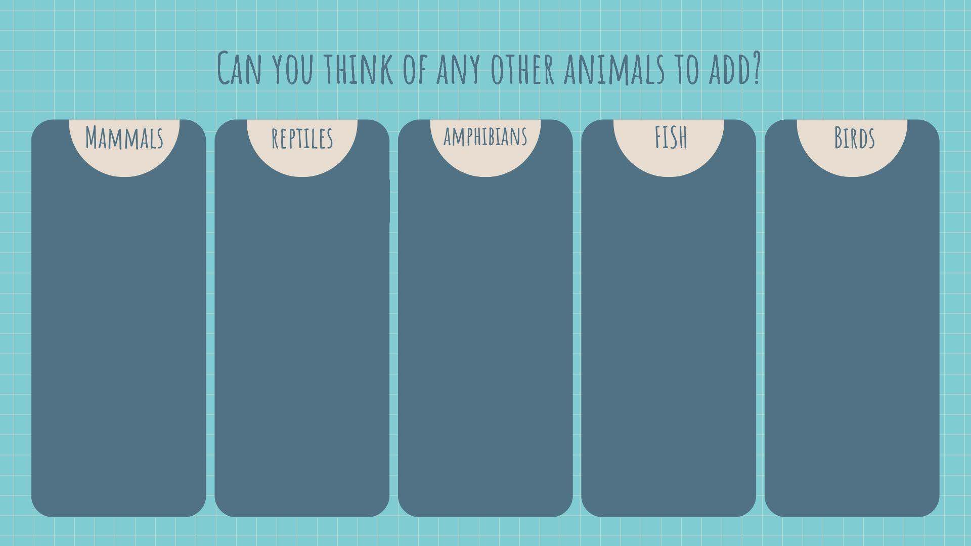 Updated It's a zoo! copy_Page_07.jpg