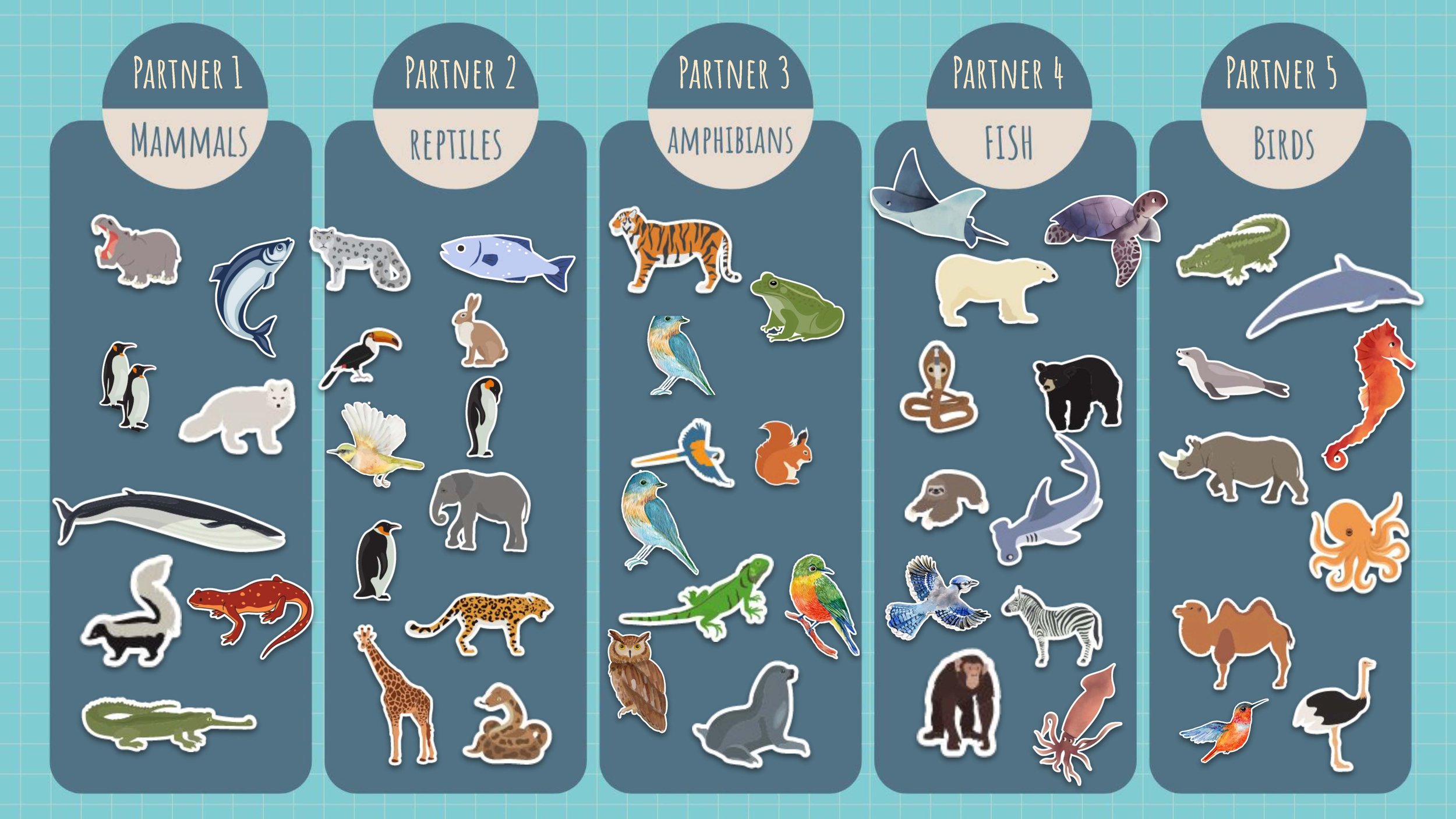 Updated It's a zoo! copy_Page_06.jpg