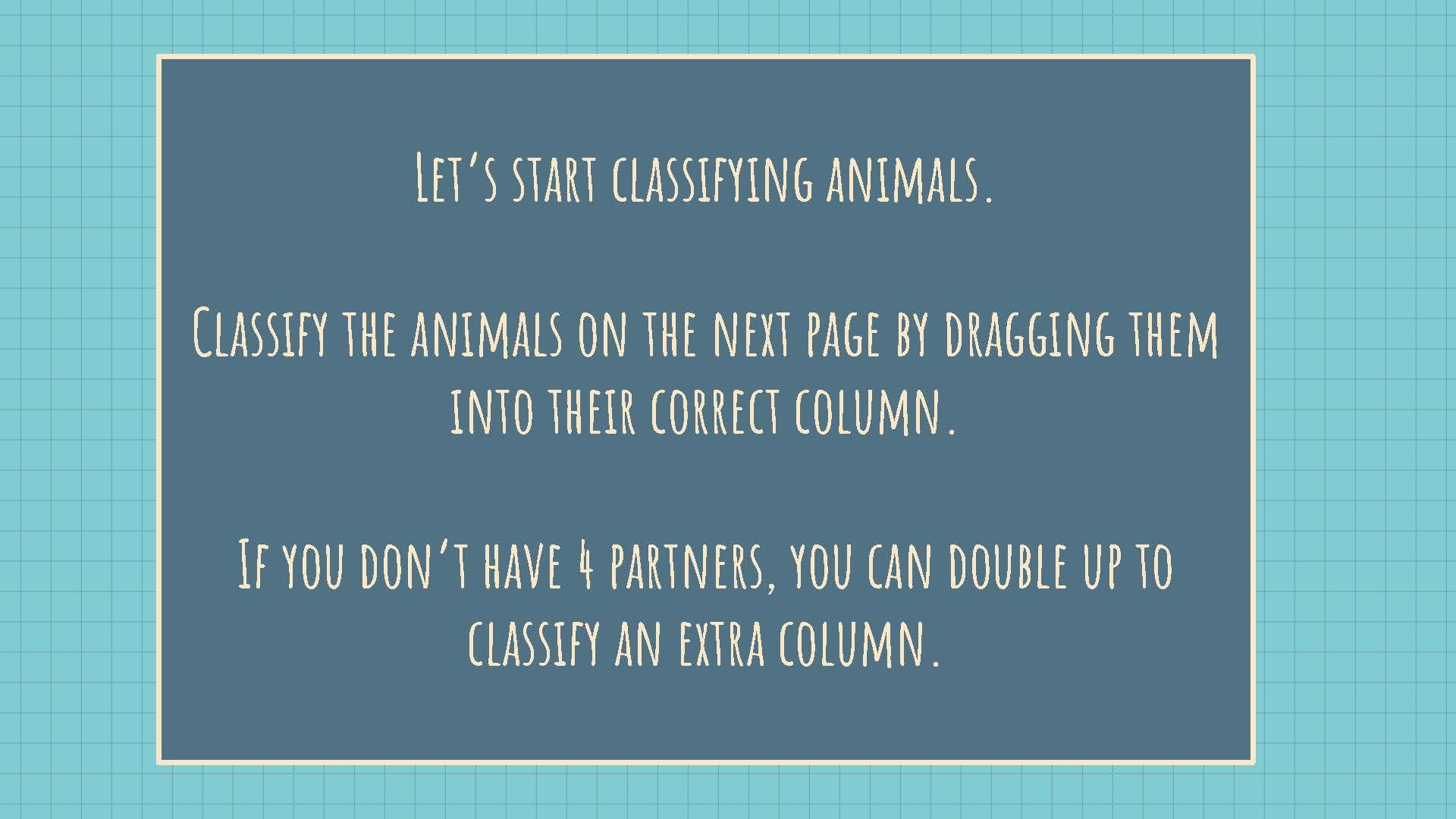 Updated It's a zoo! copy_Page_05.jpg