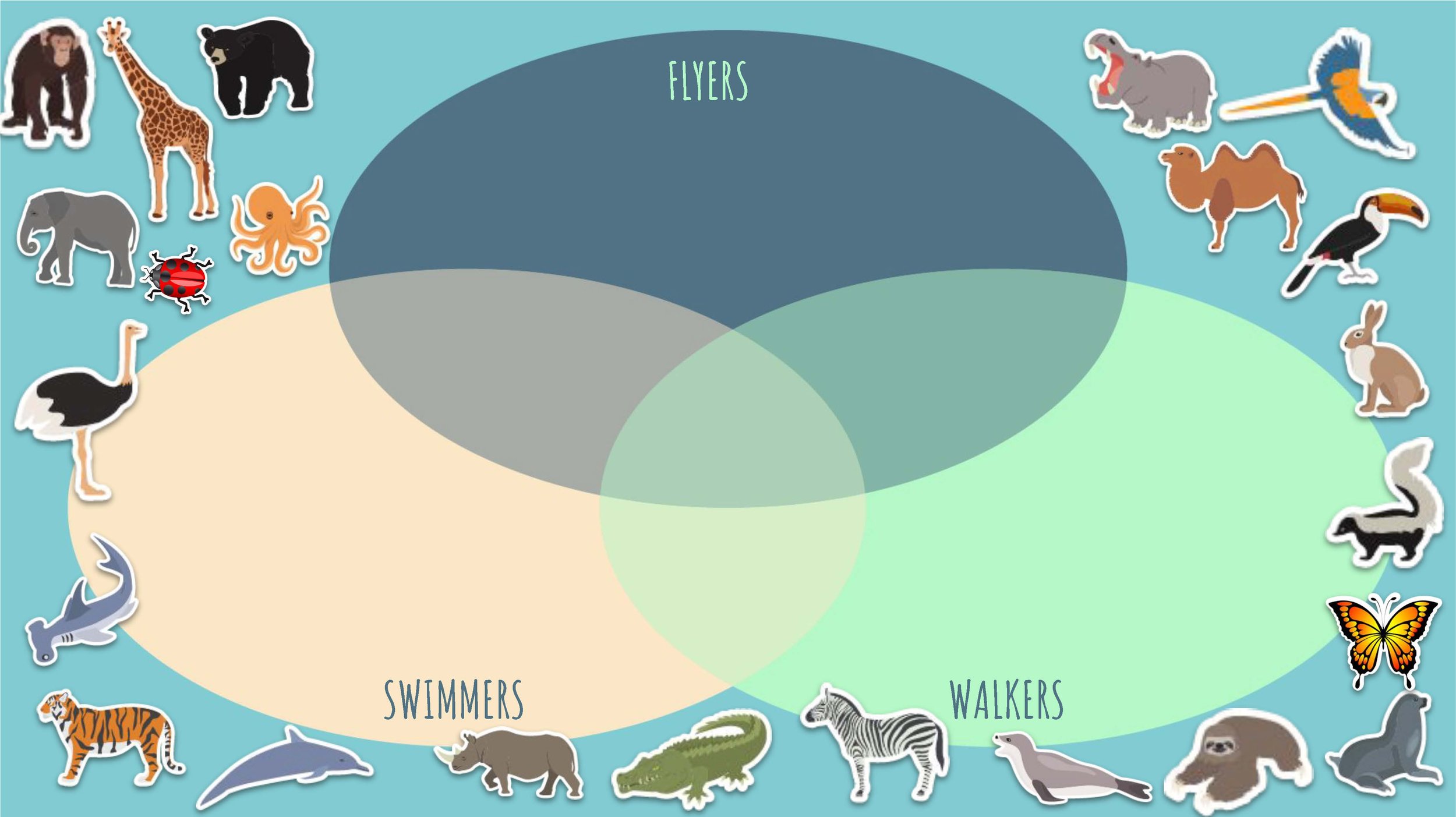 Updated It's a zoo! copy_Page_39.jpg