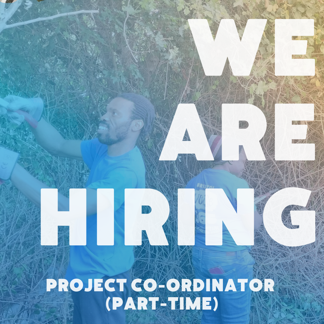 New Job with Bristol Noise