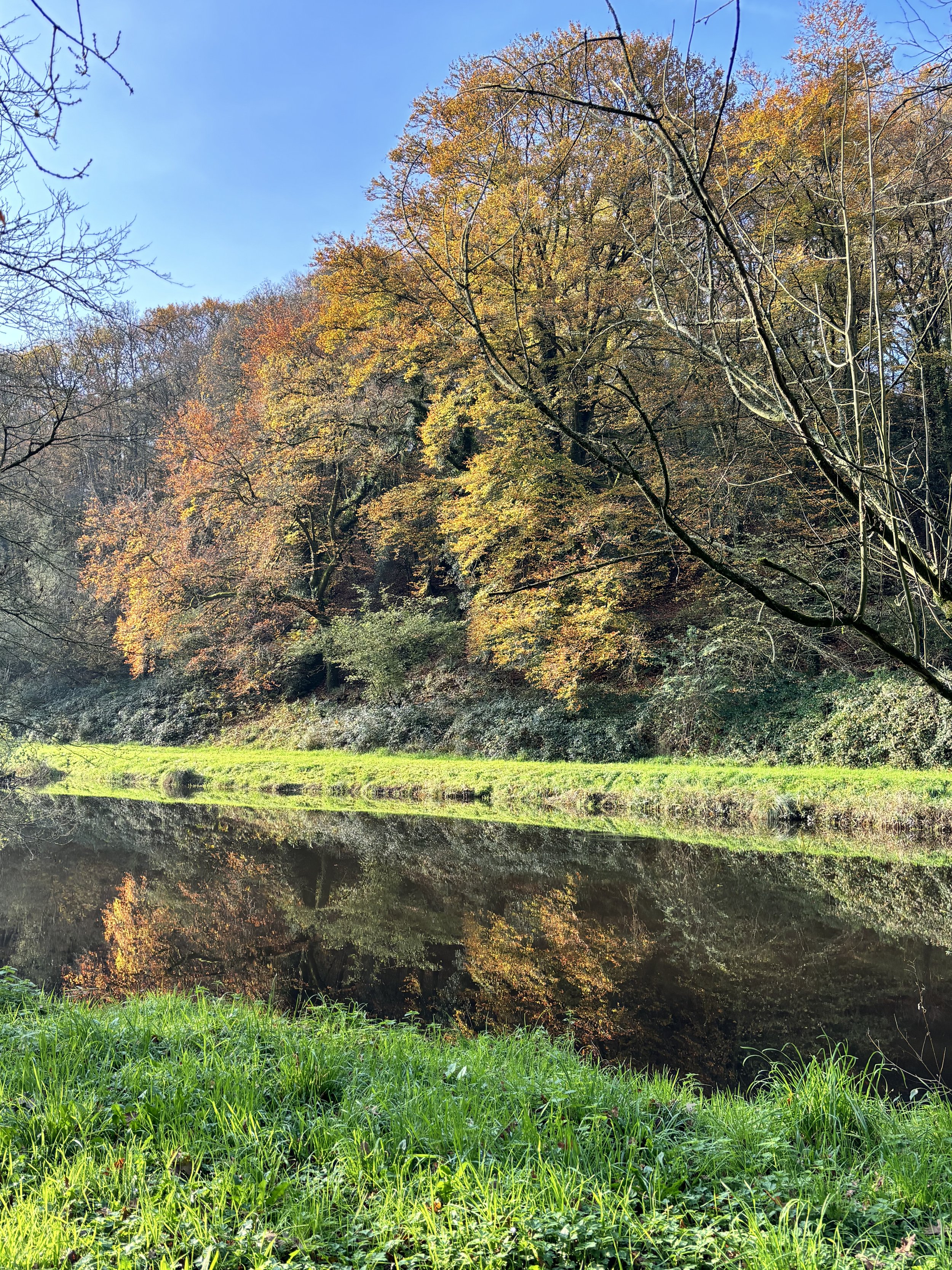 retraite yoga week-end yoga séjour yoga morbihan saint-malo vinyasa hatha ashtanga