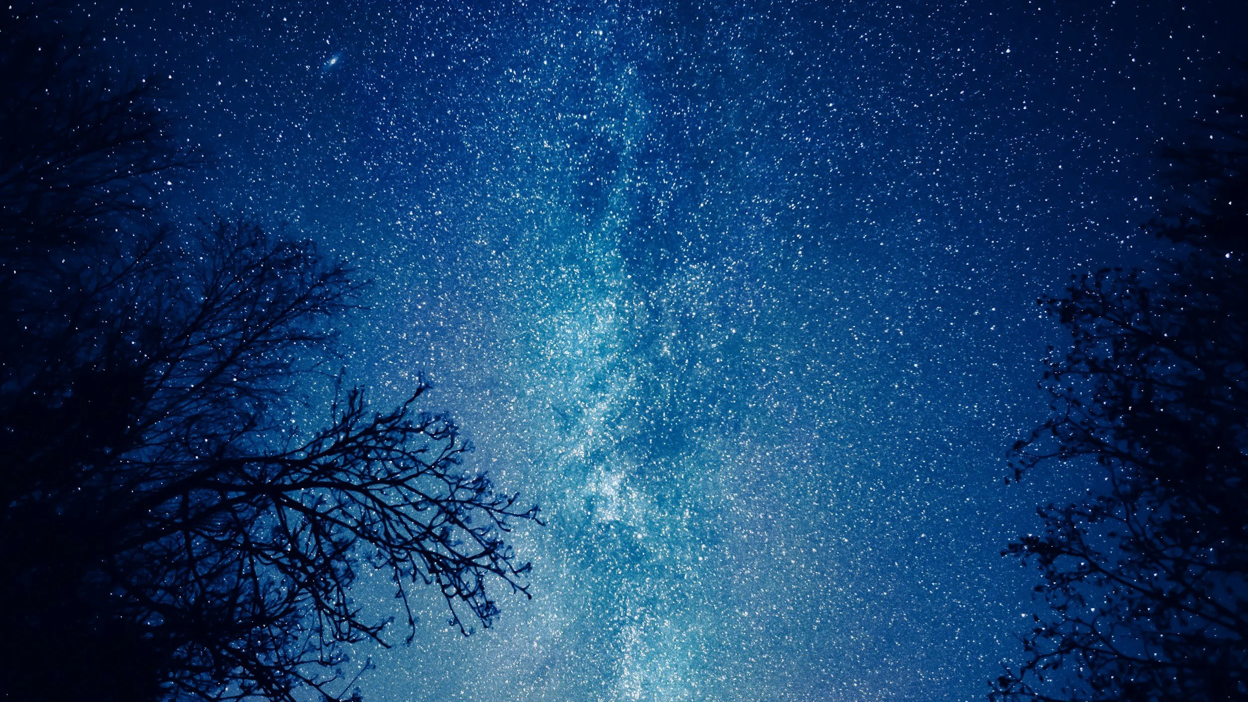 Where the Almosts Go