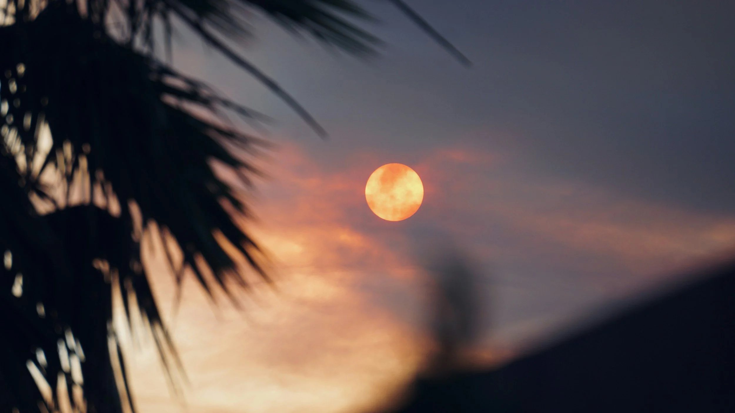 Behind the Everlasting Sun