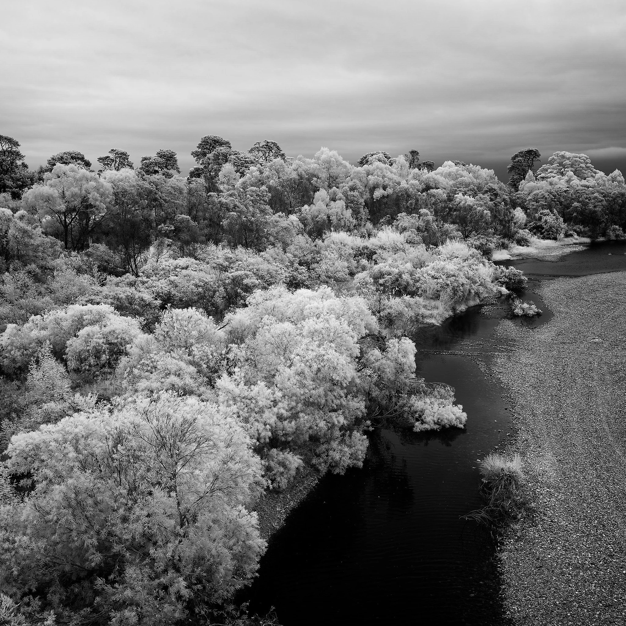 Avon River. 2026, Stratford, Victoria, Australia
