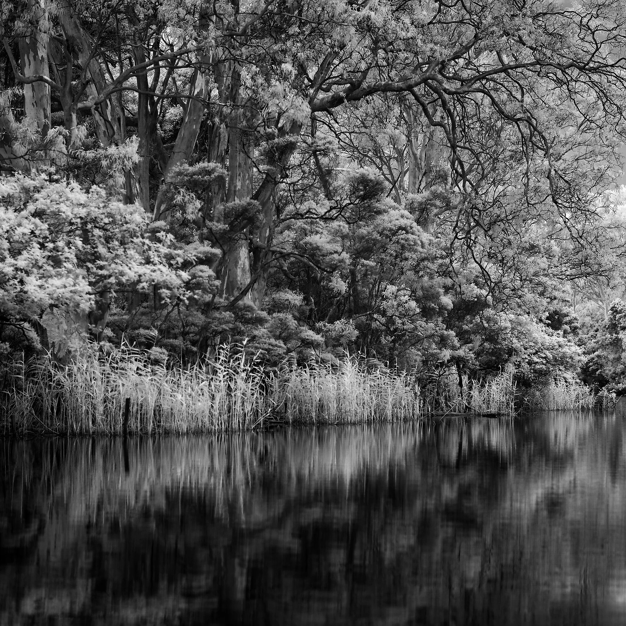 Sale Canal. 2026, Sale, Victoria, Australia