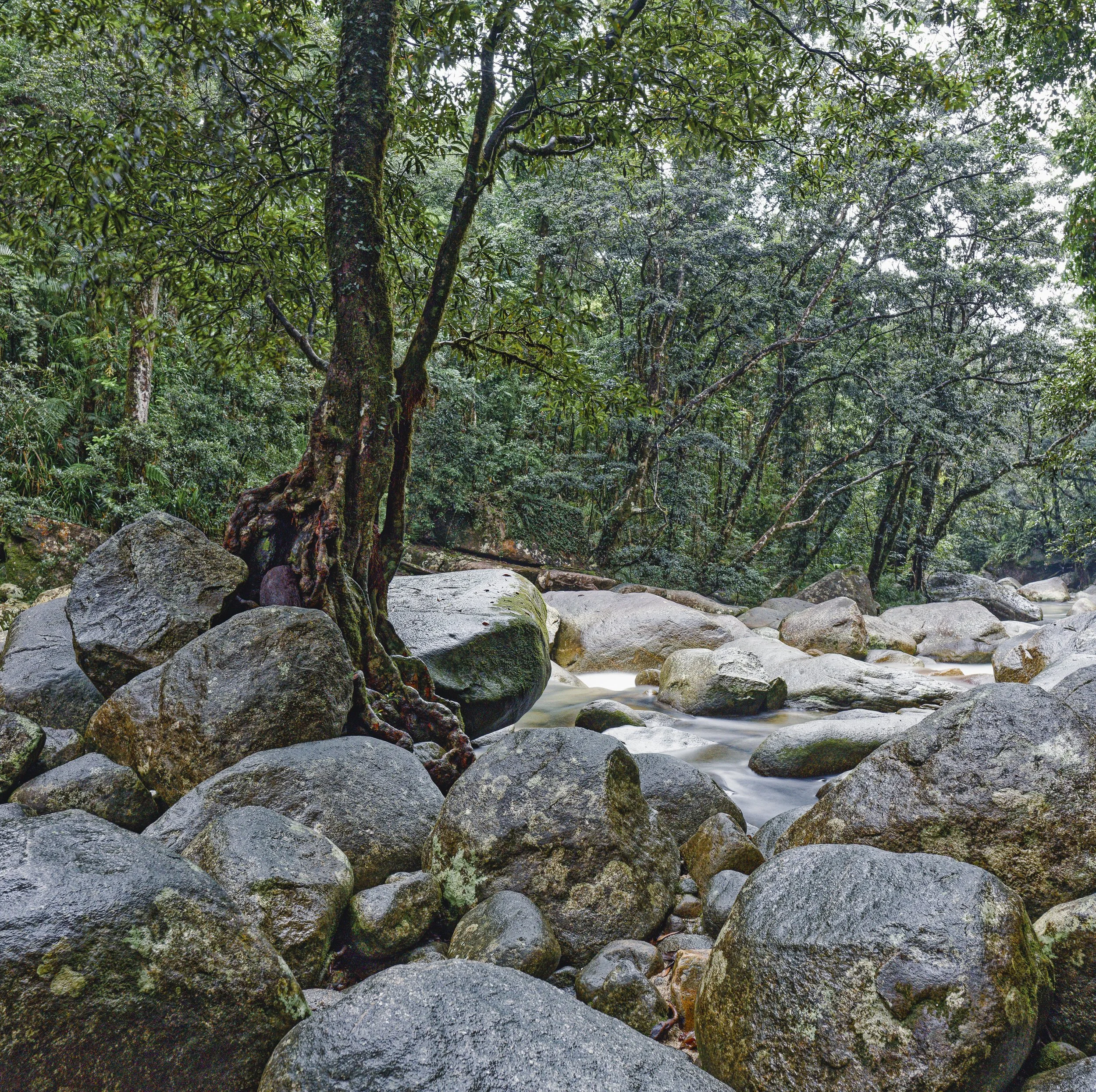 Josephine Falls, 2025. Wooroonooran National Park, Queensland, Australia