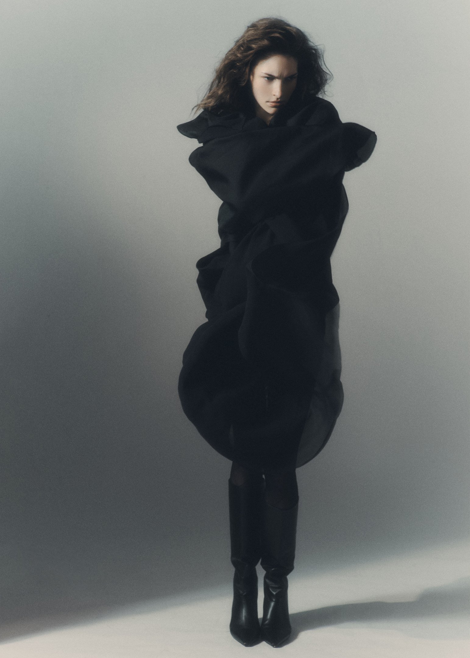 ROSA TURK by Paul Mordvian