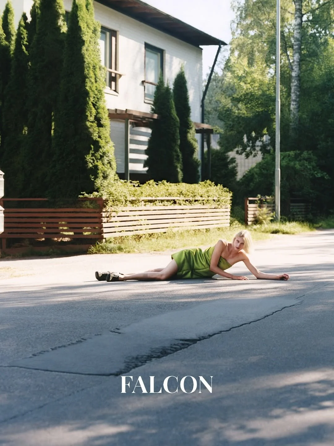 FalconMag00.JPG