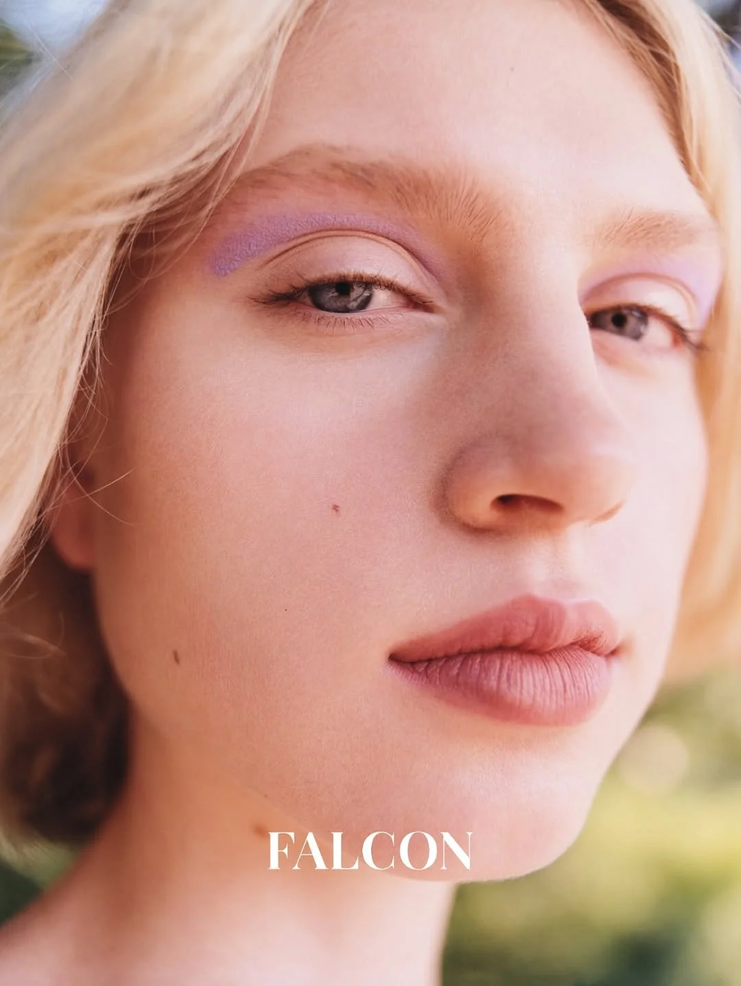 FalconMag02.JPG