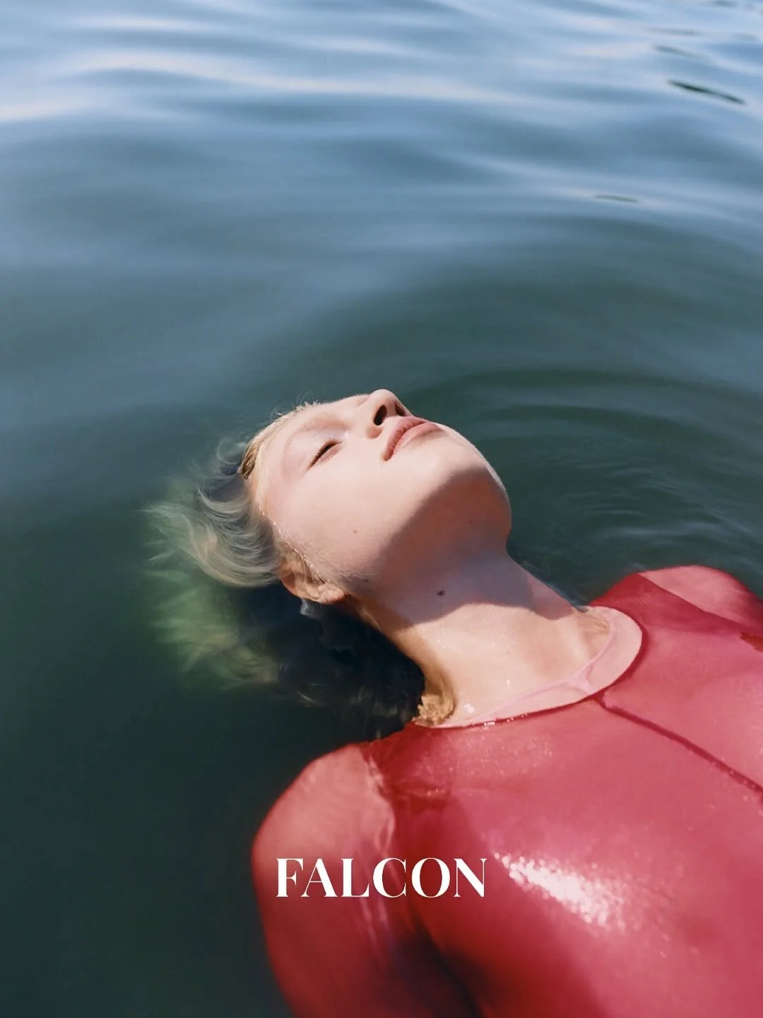 FalconMag03.JPG