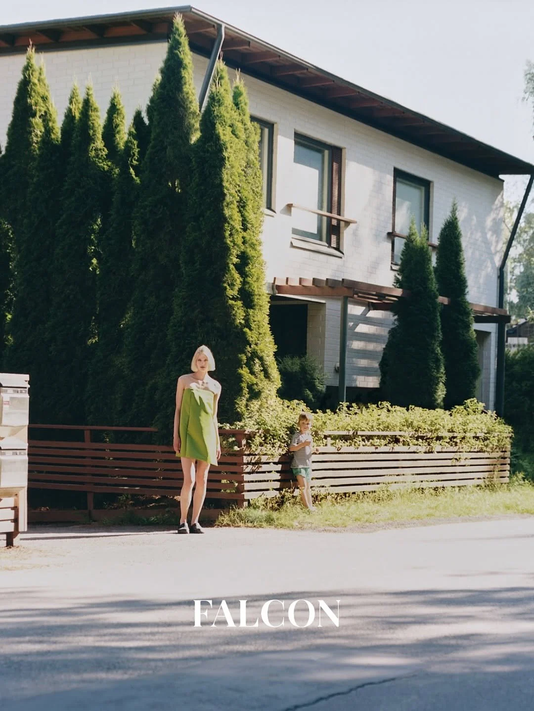 FalconMag04.JPG