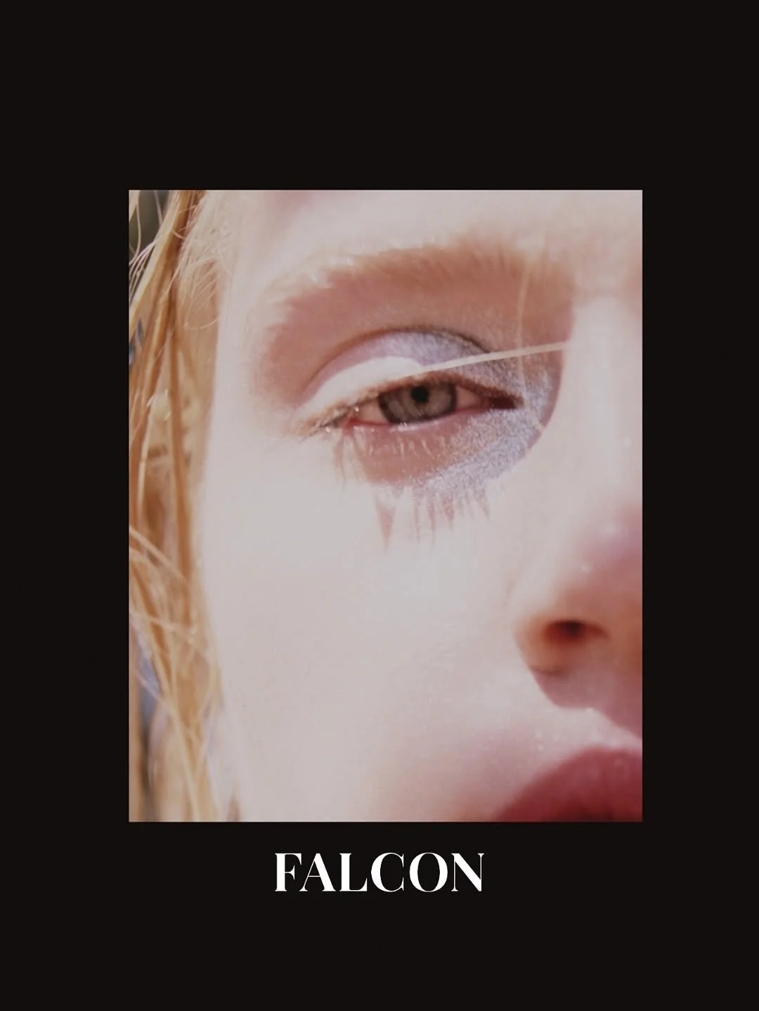 FalconMag05.JPG