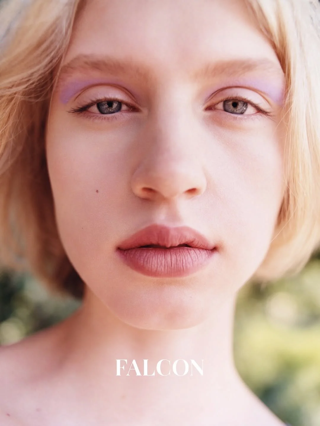 FalconMag06.JPG