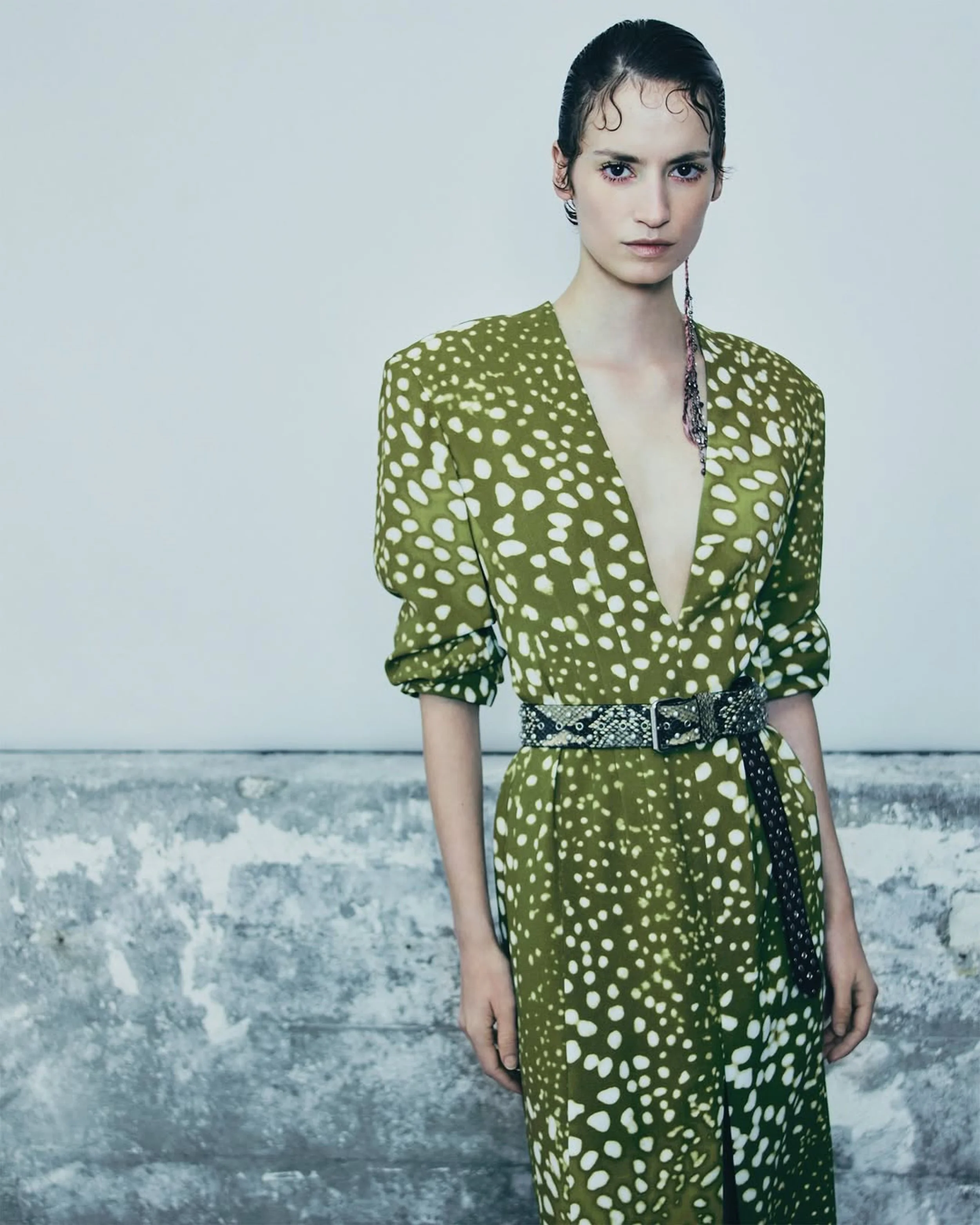 DRIES VAN NOTEN AW24