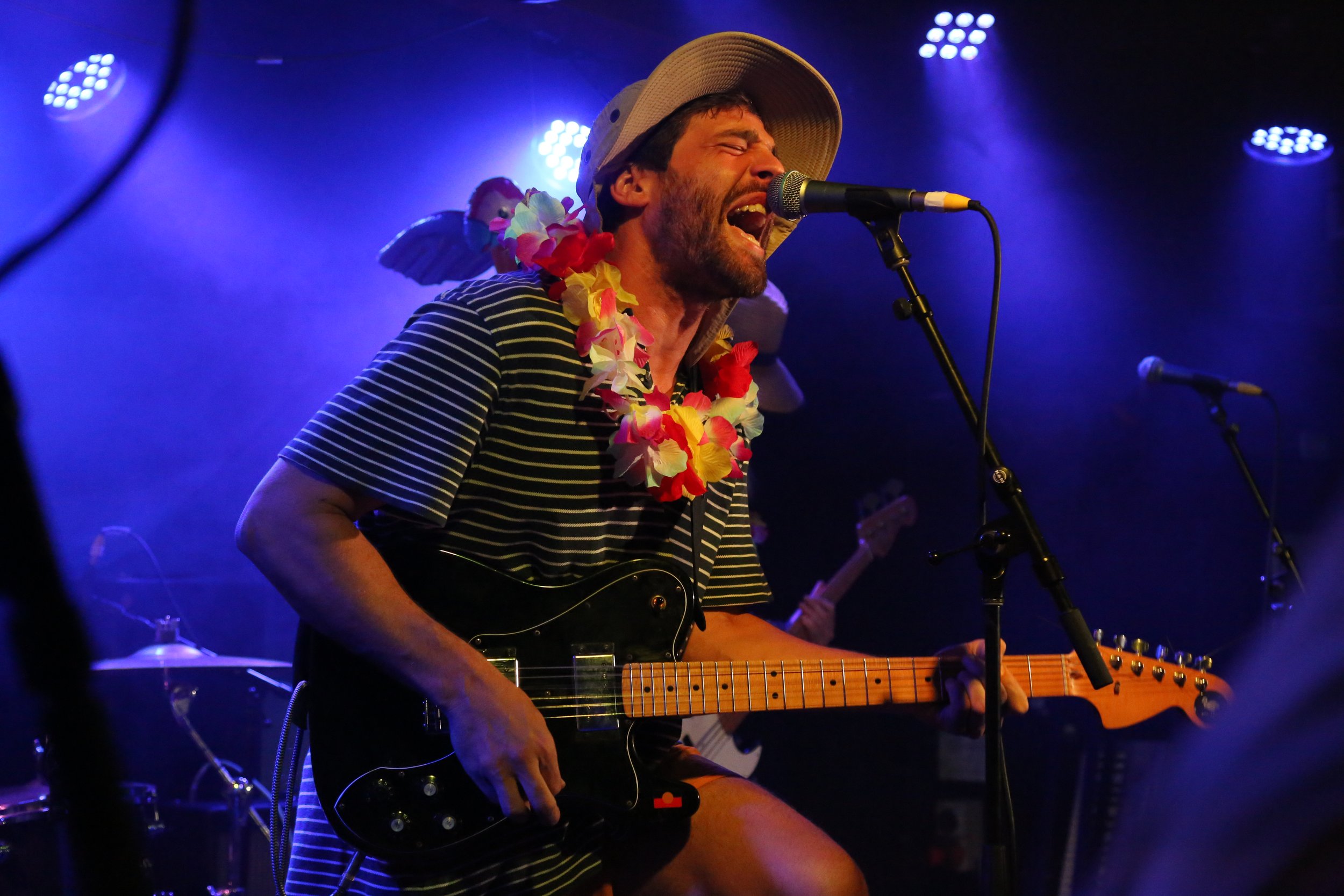 Musician performing energetically on stage with a guitar, wearing a striped shirt, hat, and a colorful lei, under blue stage lights.
