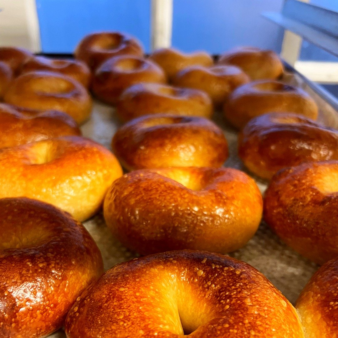 OPEN SUN 04/13

8:00 AM -11:00 AM or SELLOUT


FRIENDLY REMINDER:
CLOSED ON 04/19 and 04/20

REOPENING ON SAT 04/26 


SALTY'S BAGELS - 1 WHISTLESTOP MALL, ROCKPORT

#bagels #schmears #capeann