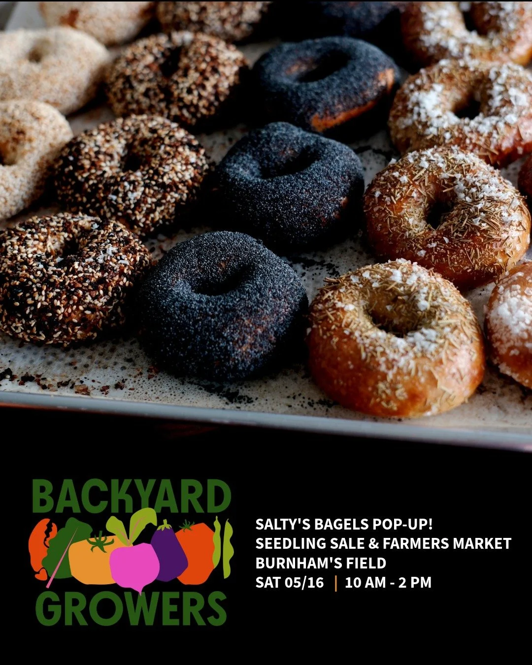 We'll be popping up at @backyardgrowers Seedling Sale &amp; Farmers Market this Saturday, May 16, 10 am-2 pm

Don't miss these wonderful Backyard Growcery vendors: @milkywayapothecary, @gardenofwingseco, @firstlightfarm_csa, @marshviewfarm, @undergro