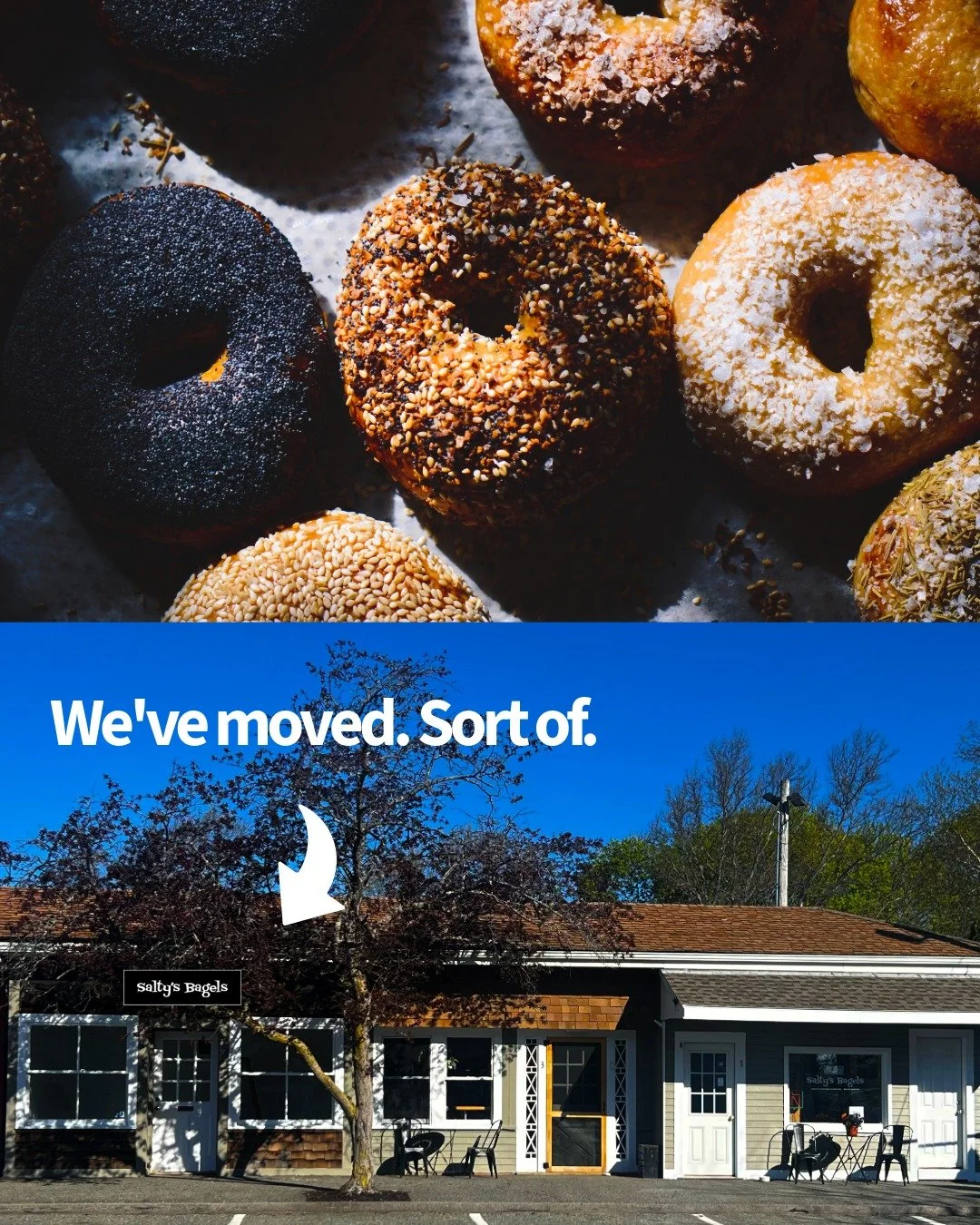 This weekend we&rsquo;ll be serving from our new shop entrance at Whistlestop Mall (formerly AOP3D).

It&rsquo;s been musical chairs at The Whistlestop this month. Our friend and neighbor Adam (aka &ldquo;The Wizard&rdquo;) of Aop ThreeD has moved in